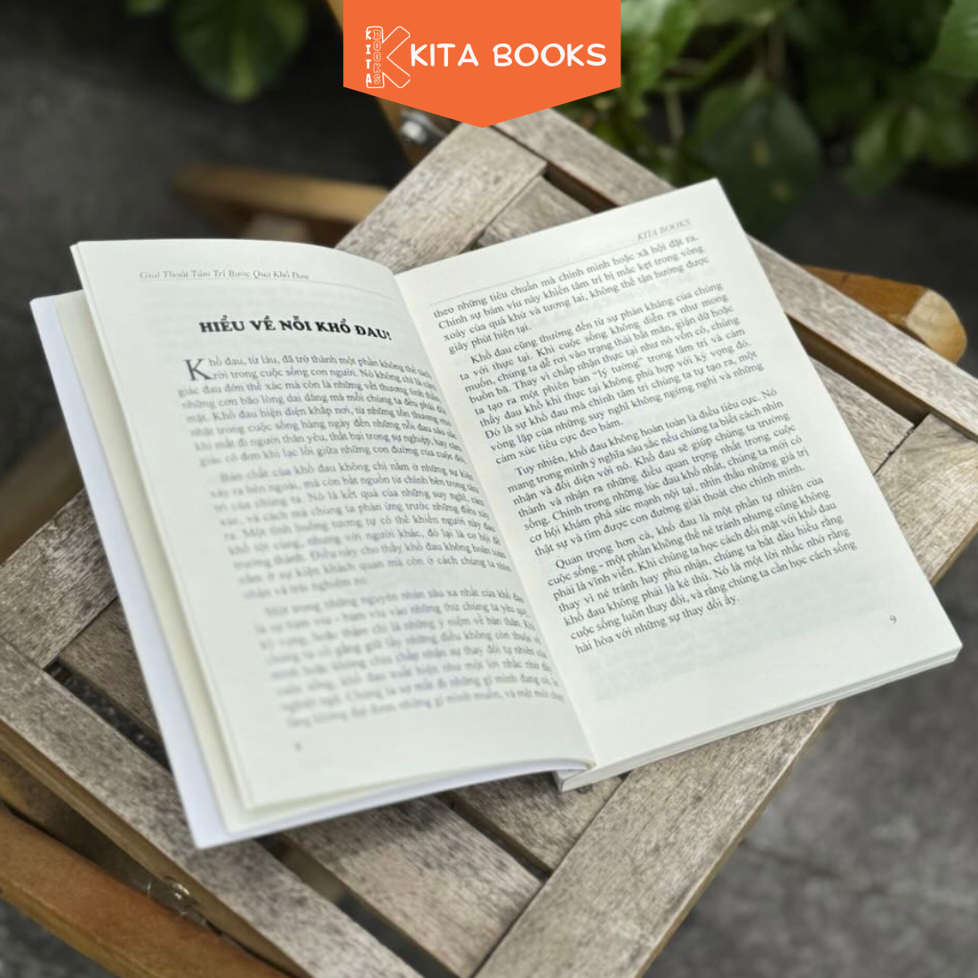 GIẢI THOÁT TÂM TRÍ BƯỚC QUA KHỔ ĐAU_thumbnail_5