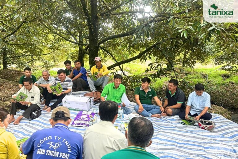 Hội thảo đầu bờ: Tham quan vườn Monthong 13 năm tuổi sau 18 ngày dỡ mủ