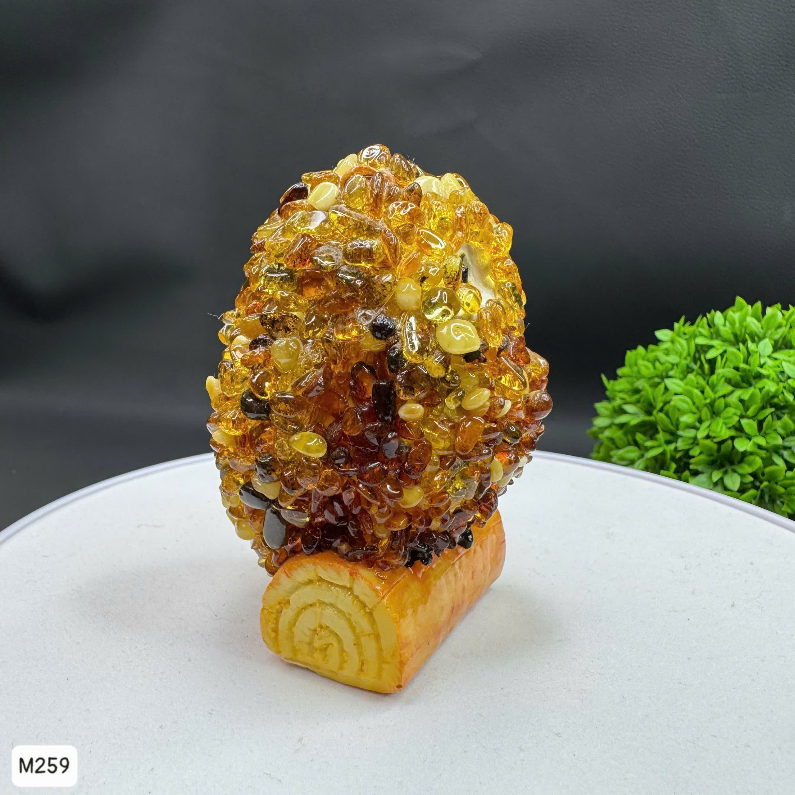 Cú Mèo Học Đường Hổ Phách Tự Nhiên - M259_thumbnail_1