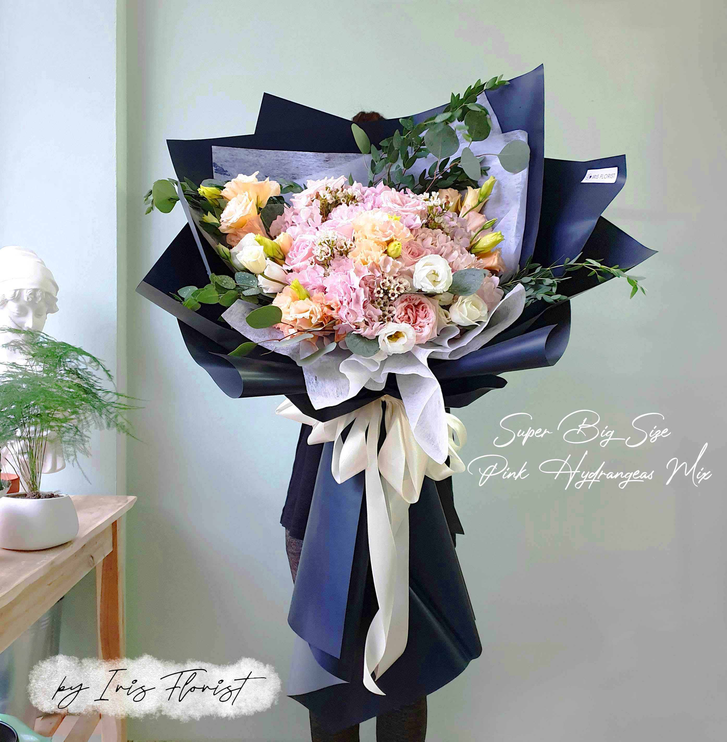 Tú cầu hồng mix (Blue) - Big Size