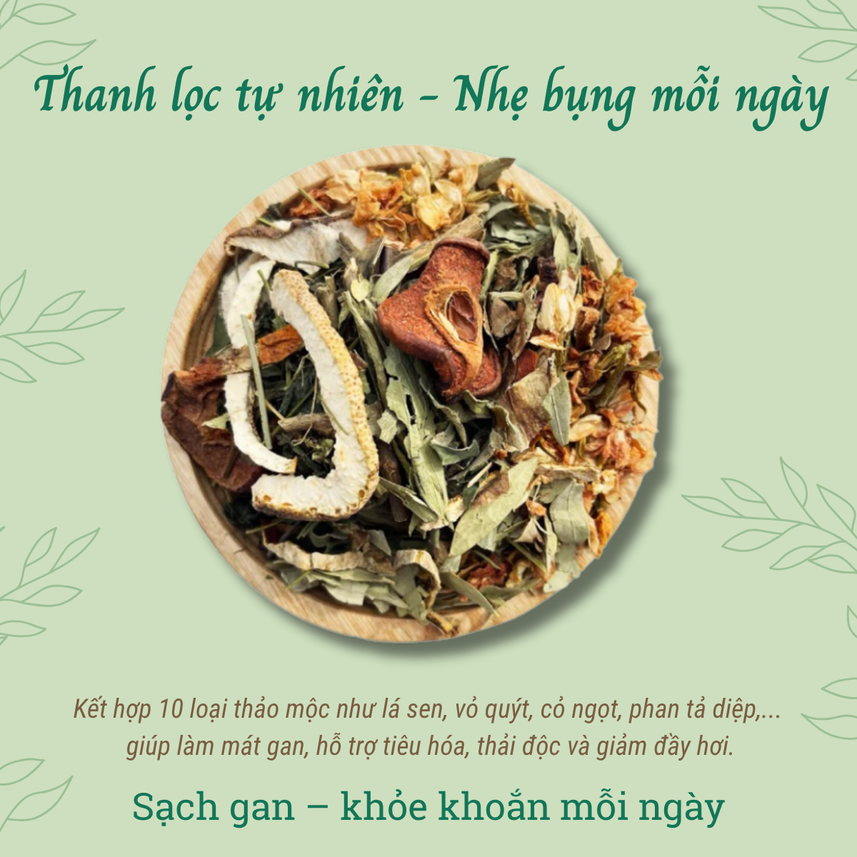 TRÀ LÁ NAM_thumbnail_4