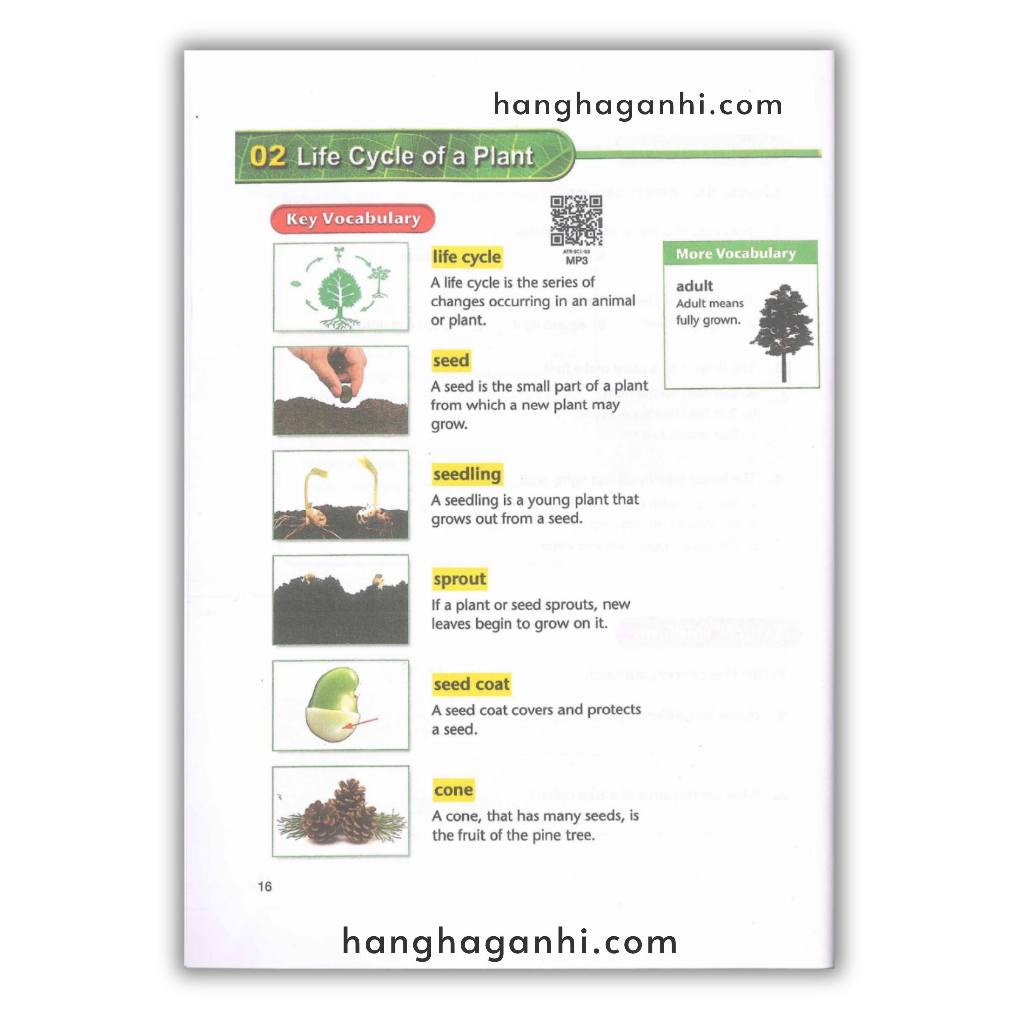 American Text Book Reading – Trọn Bộ 4 Grade 8 cuốn ( Kèm File nghe và Video)_thumbnail_13