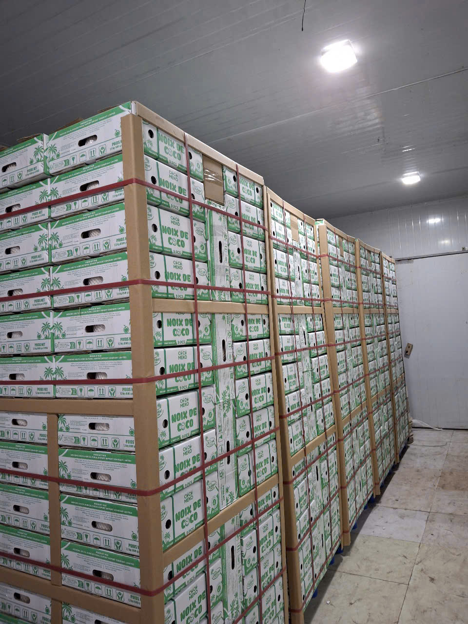 DIAMOND CUT YOUNG EYELET CAP COCONUT_thumbnail_4