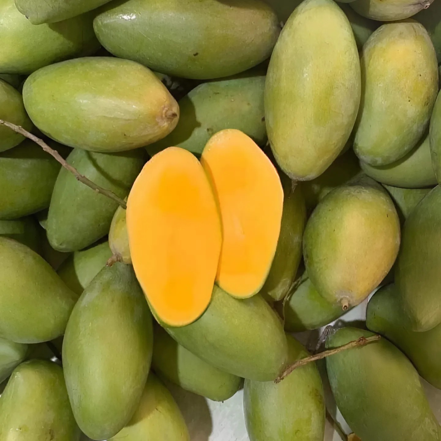 Xoài Keo Xanh_thumbnail_0