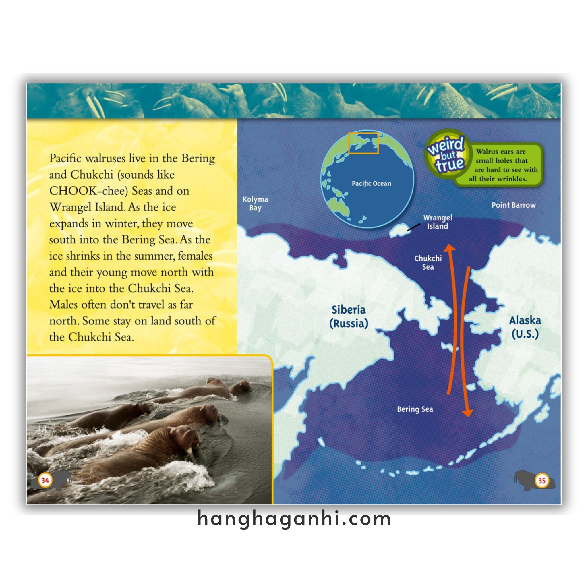 Bộ 38 cuốn National Geographic Kids level 3 - sách Khoa học tiếng Anh nhập khẩu, nguyên seal_thumbnail_13