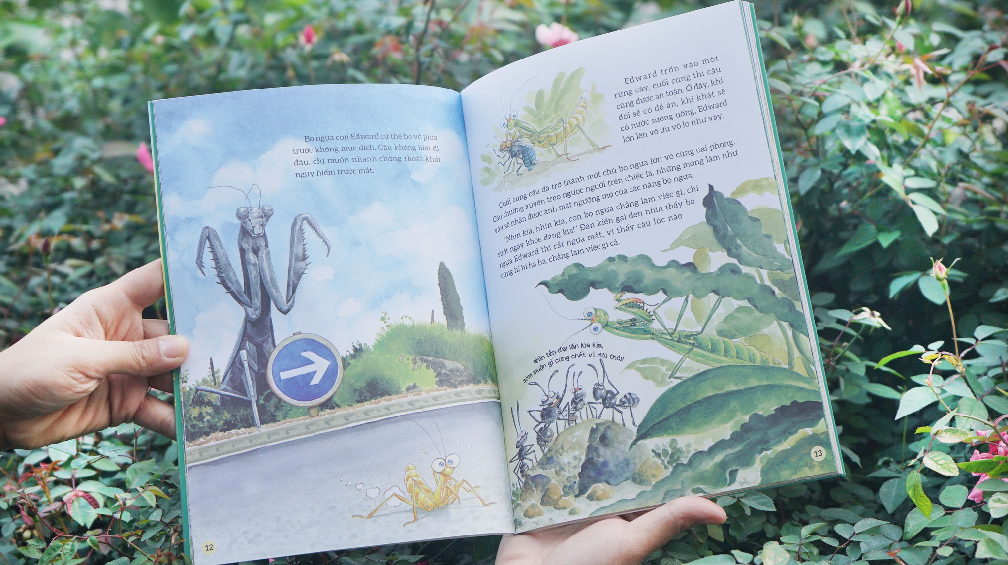 Combo 4 cuốn Truyện tranh khoa học về các loài côn trùng._thumbnail_2