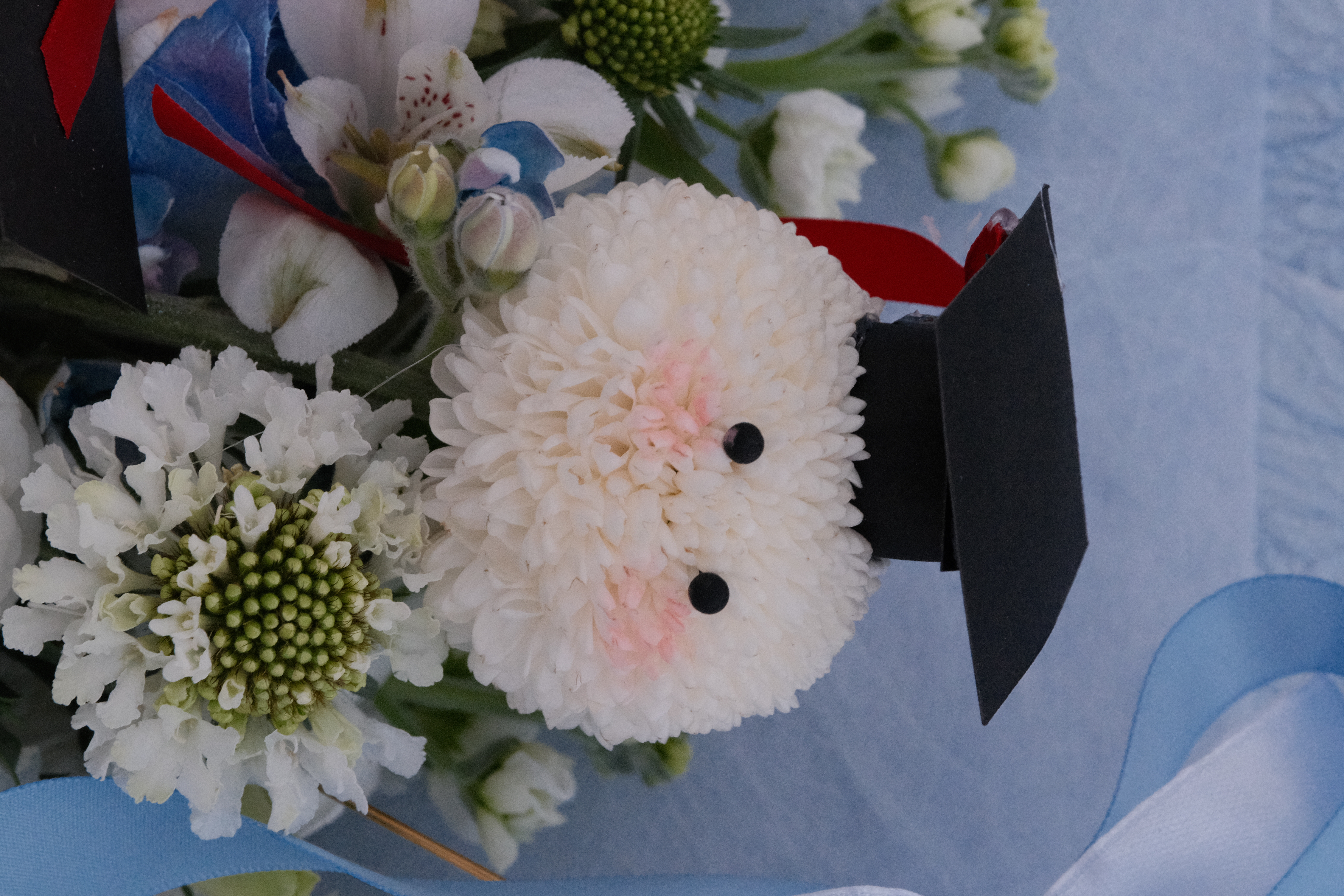 Bó hoa tốt nghiệp Cúc ping pong tone Xanh/ Hồng_thumbnail_3