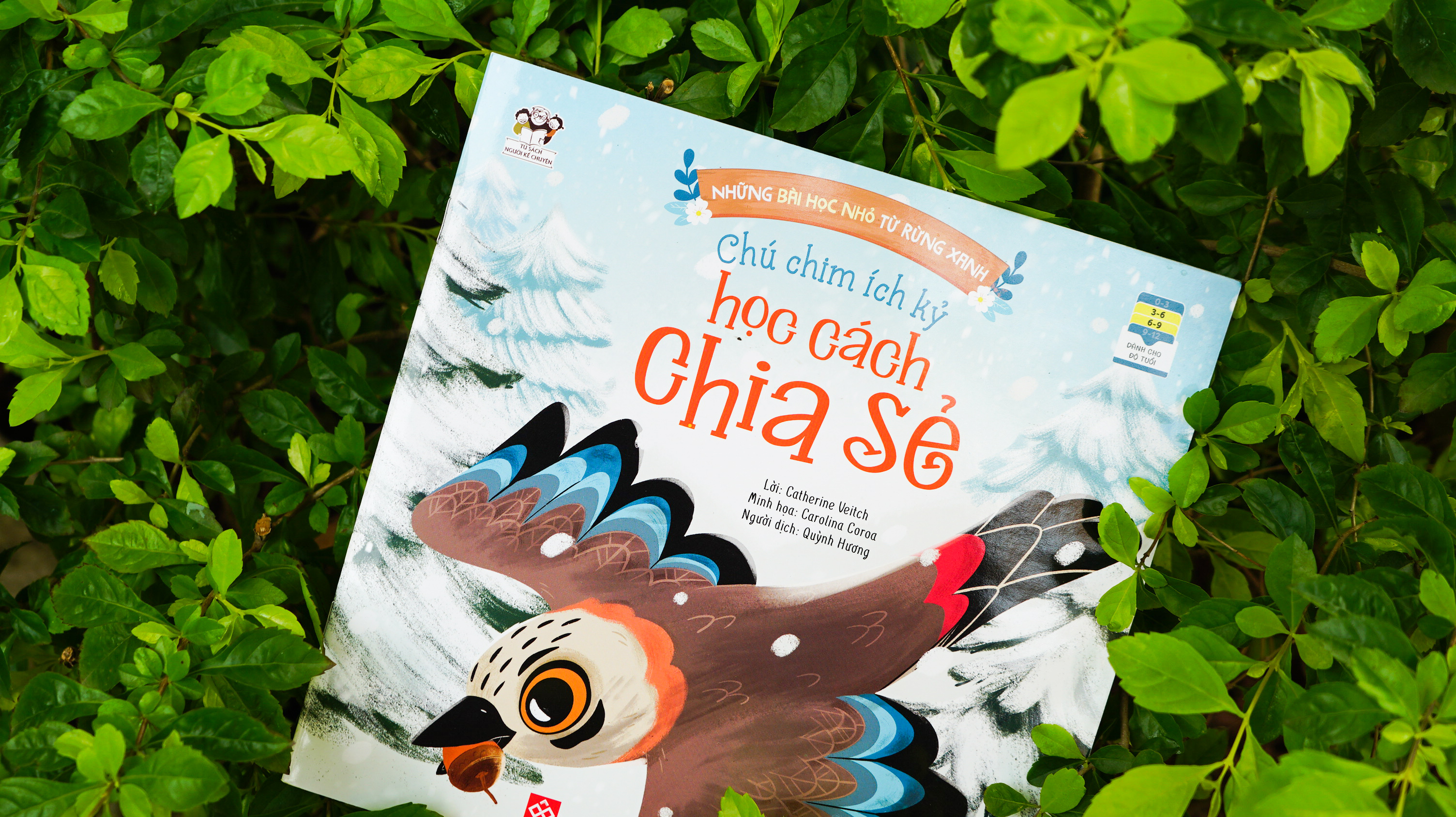 Combo 4c những bài học nhỏ từ rừng xanh_thumbnail_13