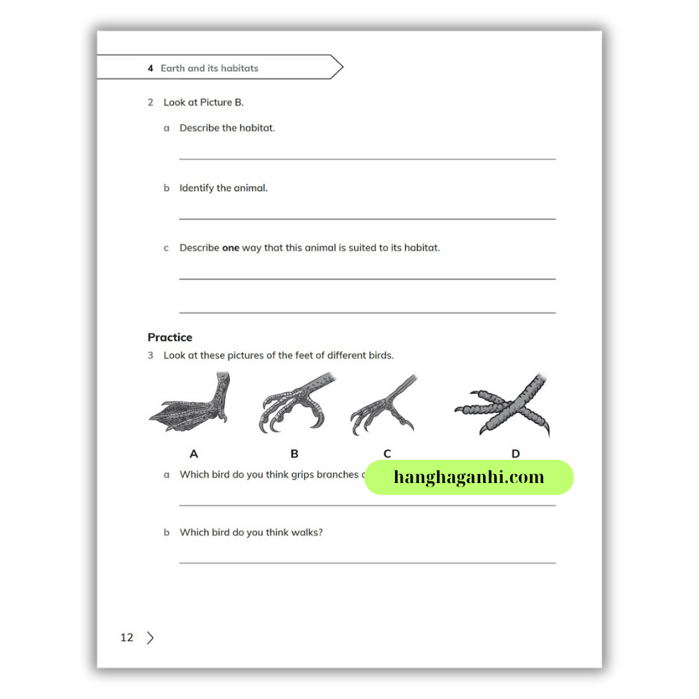 Cambridge Song Ngữ bậc Tiểu học – KHOA HỌC – Sách bài tập 4 – Quyển 1&2_thumbnail_9