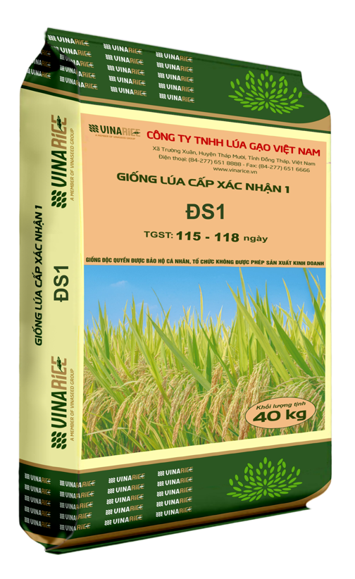 High quality pure Japonica rice variety DS1