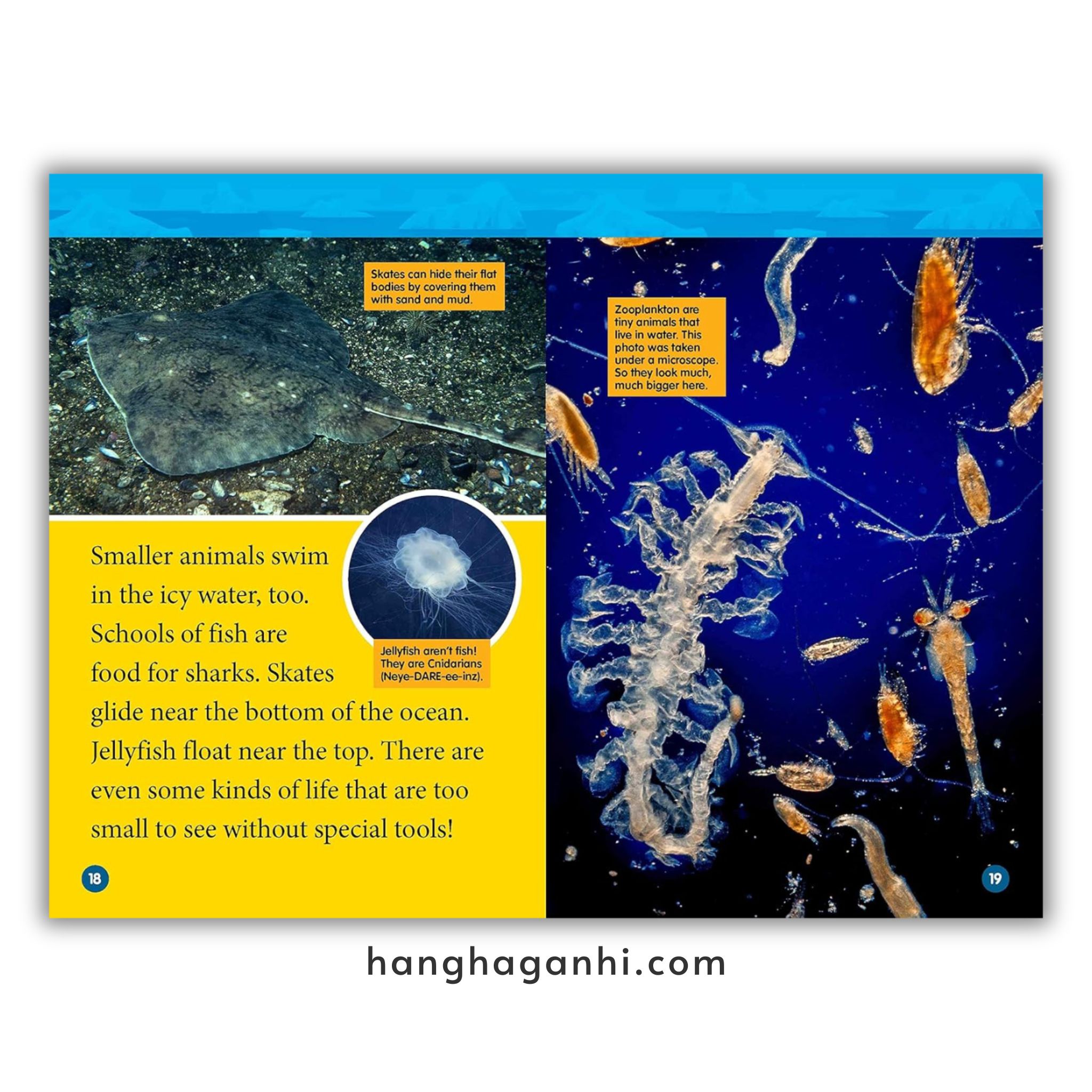 Bộ 41 cuốn National Geographic Kids level 2 - sách Khoa học tiếng Anh nhập khẩu, nguyên seal_thumbnail_10