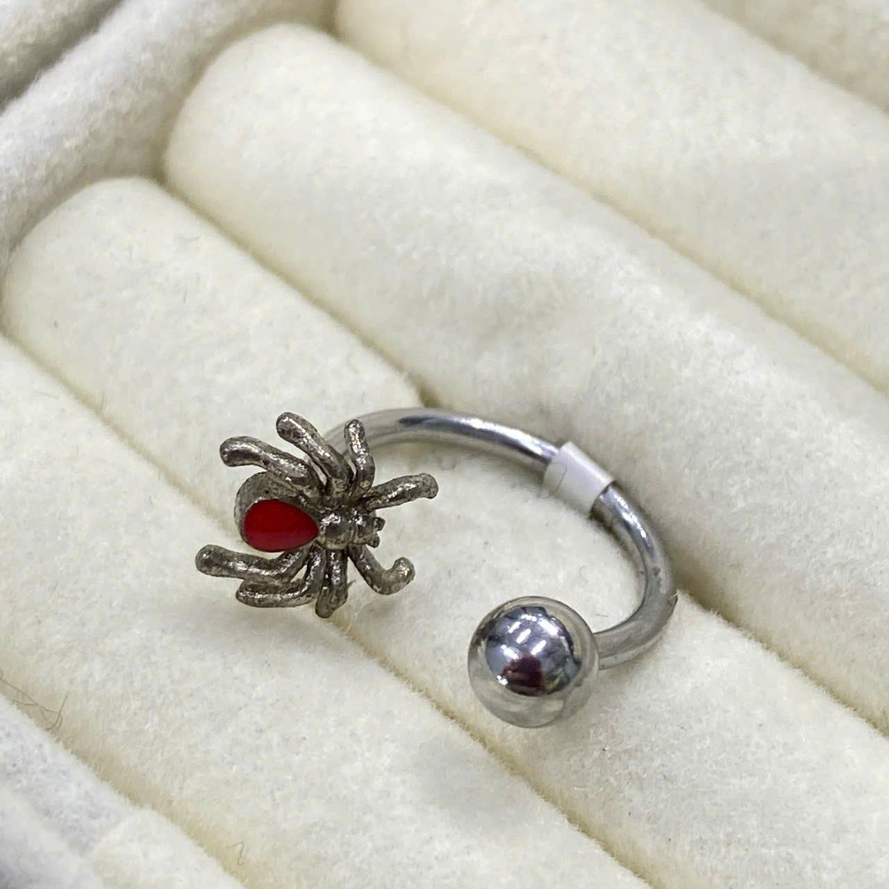 Septum nhện đỏ