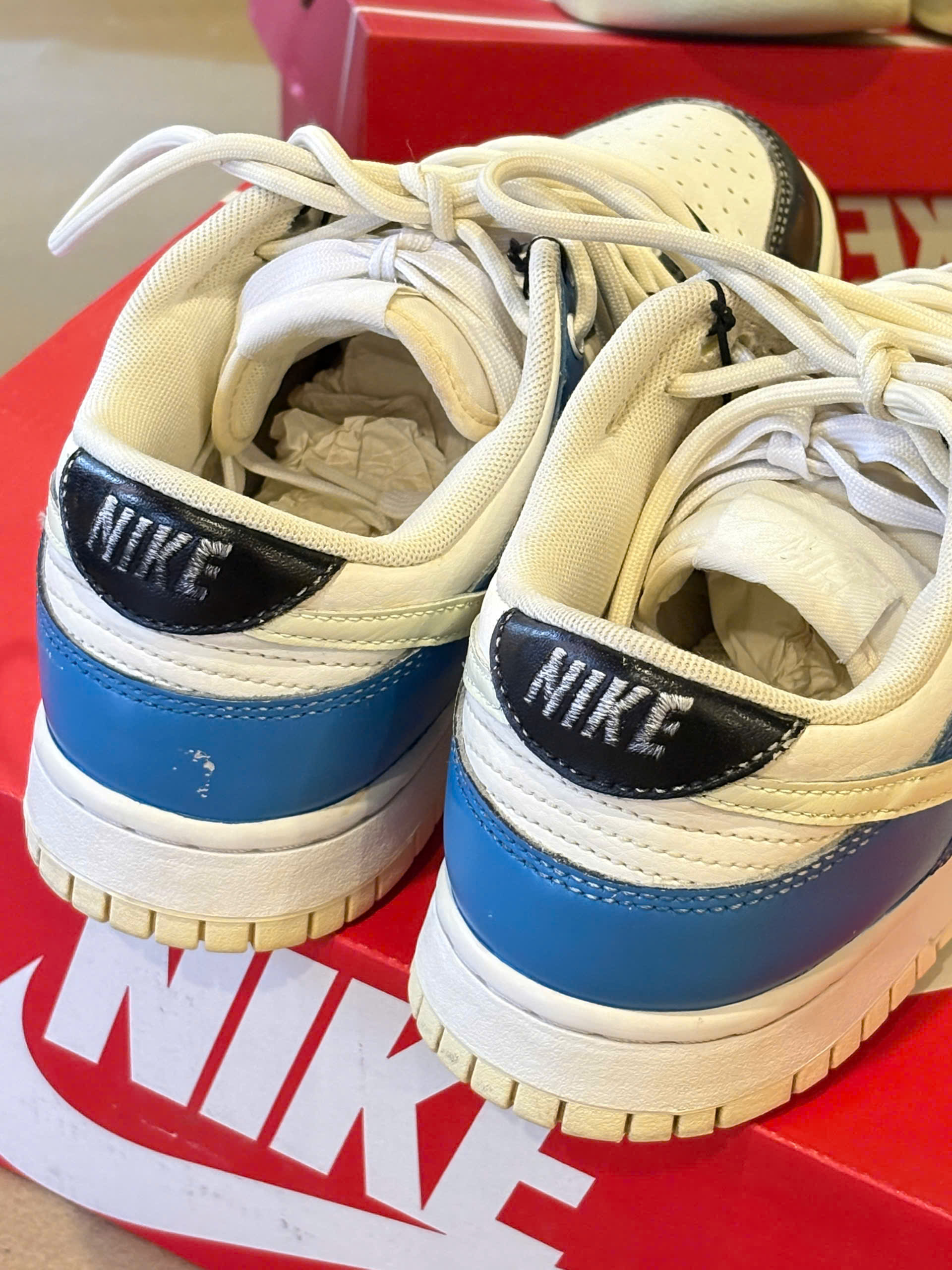 Nike Dunk Low Retro (W)