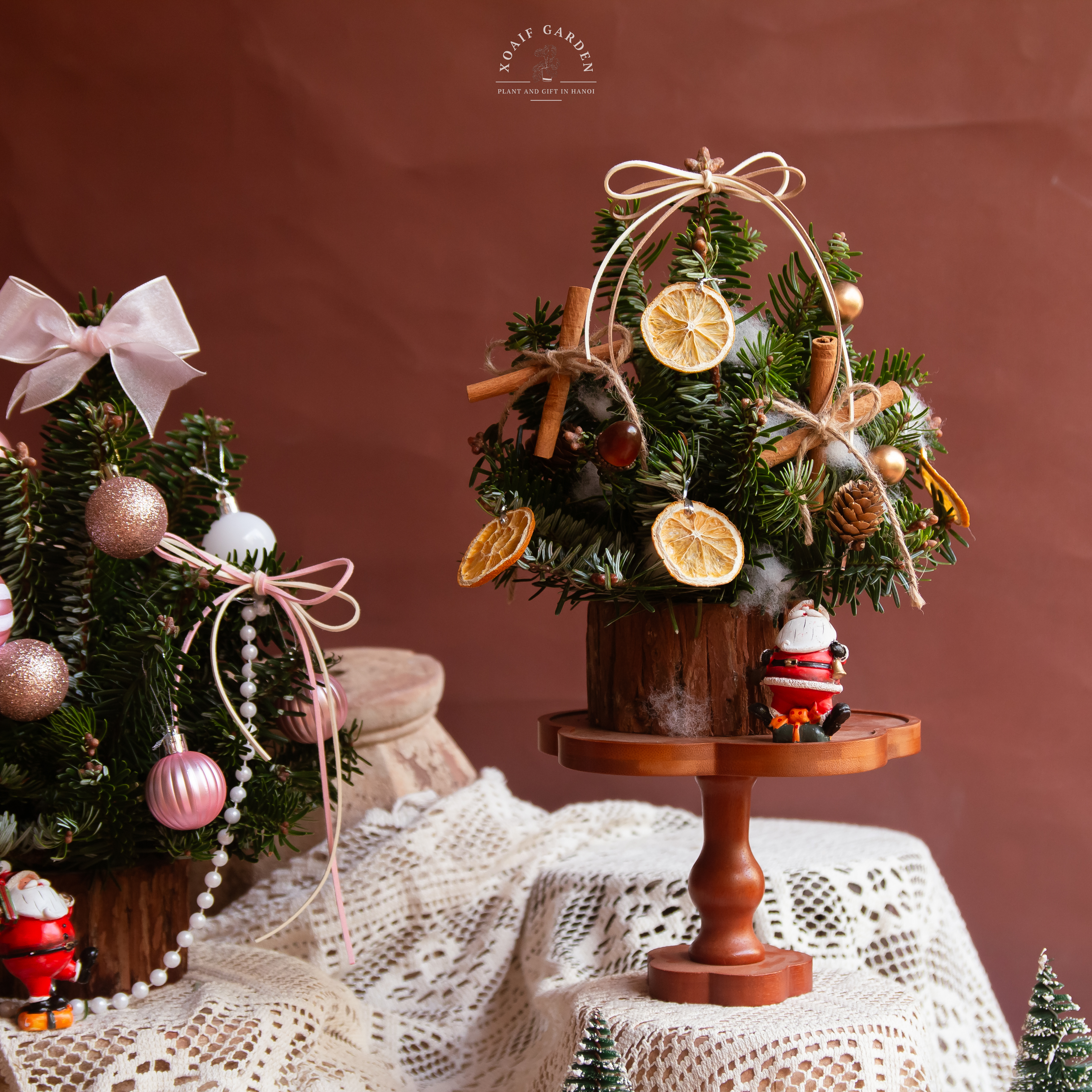 SET THÔNG TƯƠI_thumbnail_6