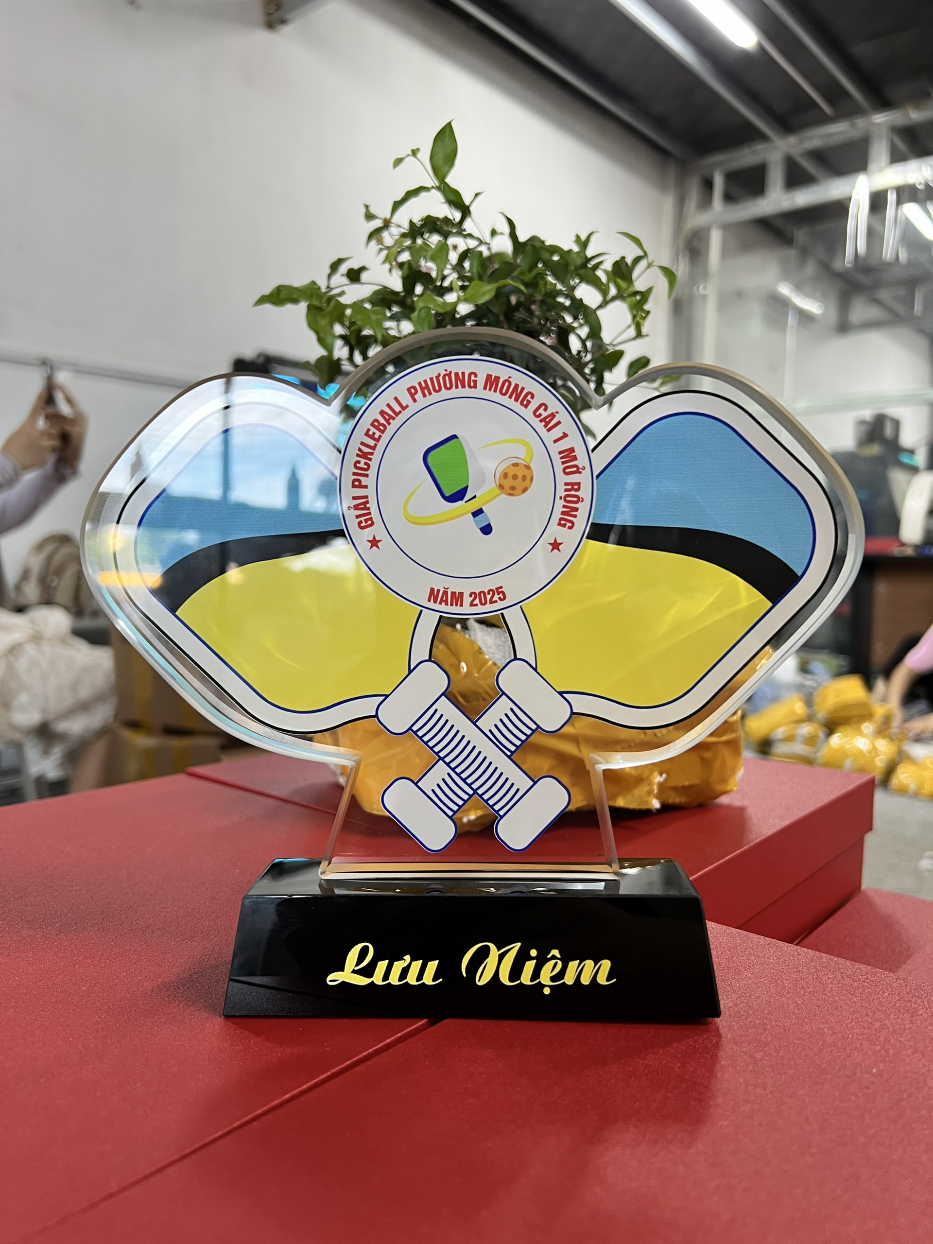 Cúp thể thao pha lê