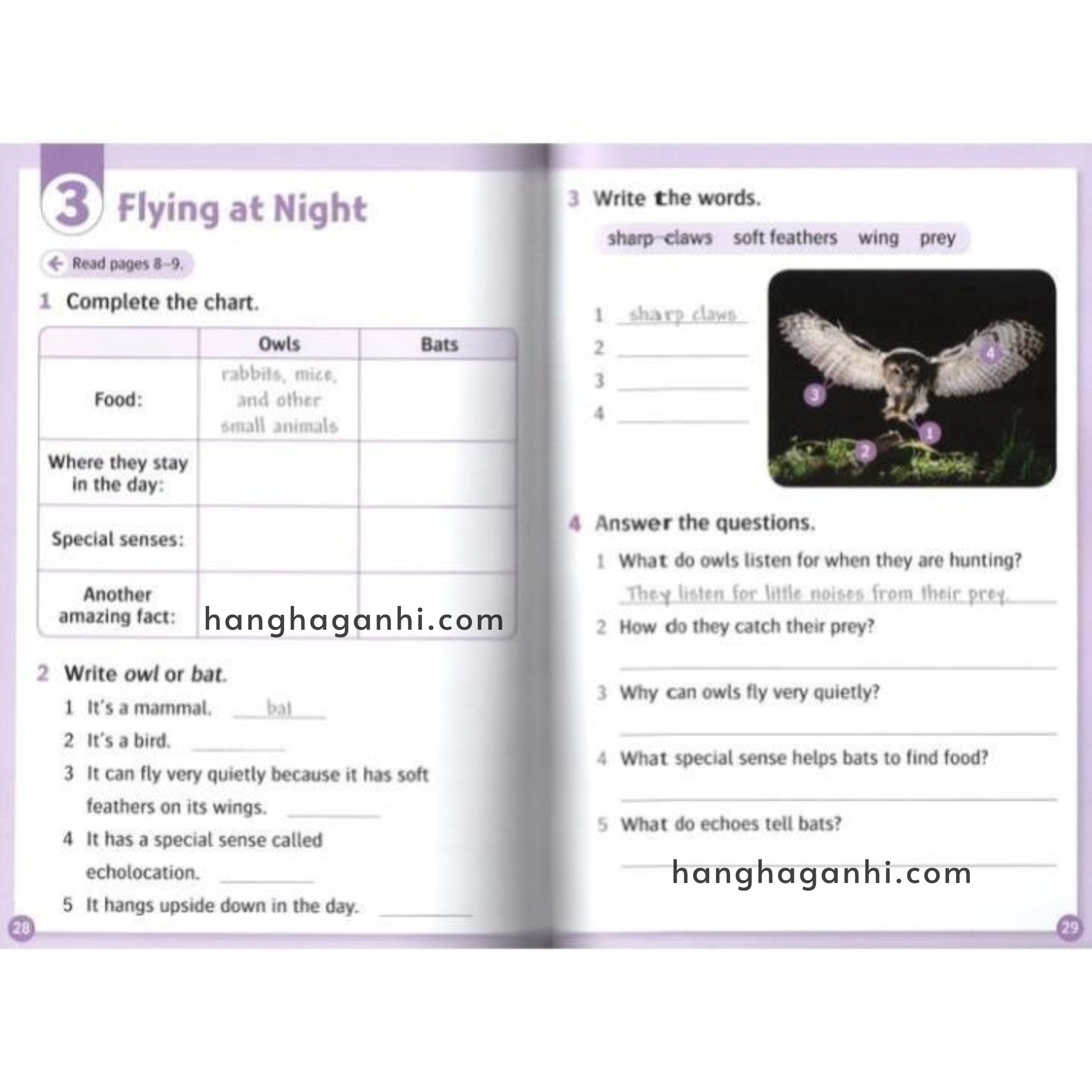 Bộ 20 Cuốn Oxford Read and Discover-Read and Imagine Level 4 – Sách Nhập nguyên seal kèm file nghe_thumbnail_1