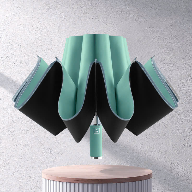 DÙ MINI_thumbnail_1