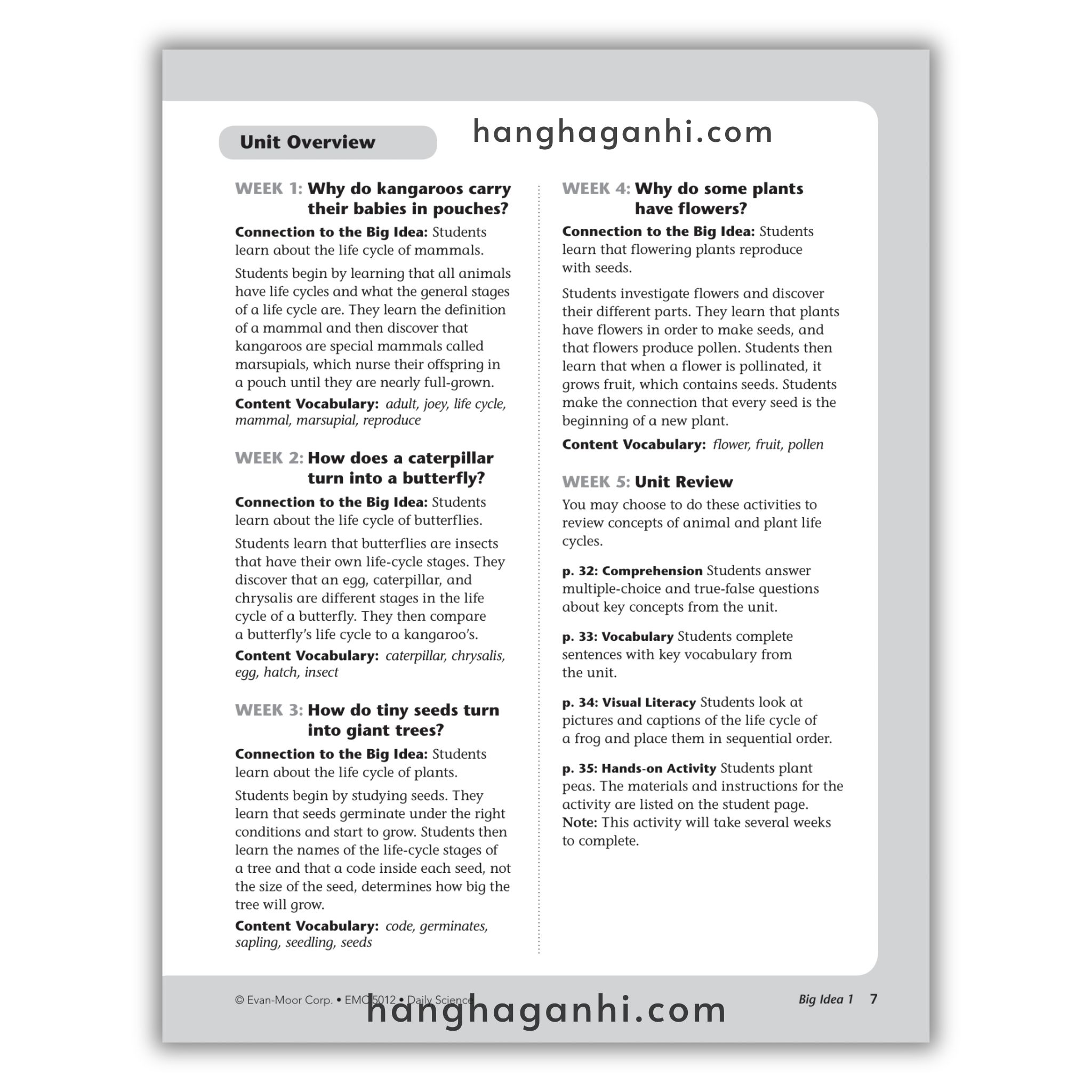 Daily Science Grade 2_thumbnail_15