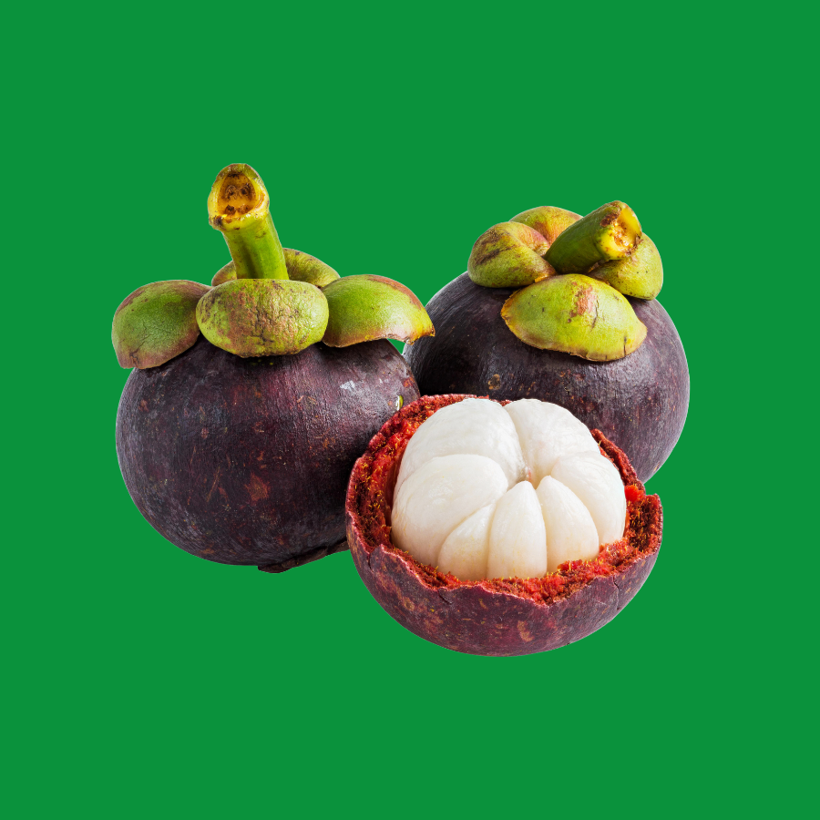 MĂNG CỤT_thumbnail_0