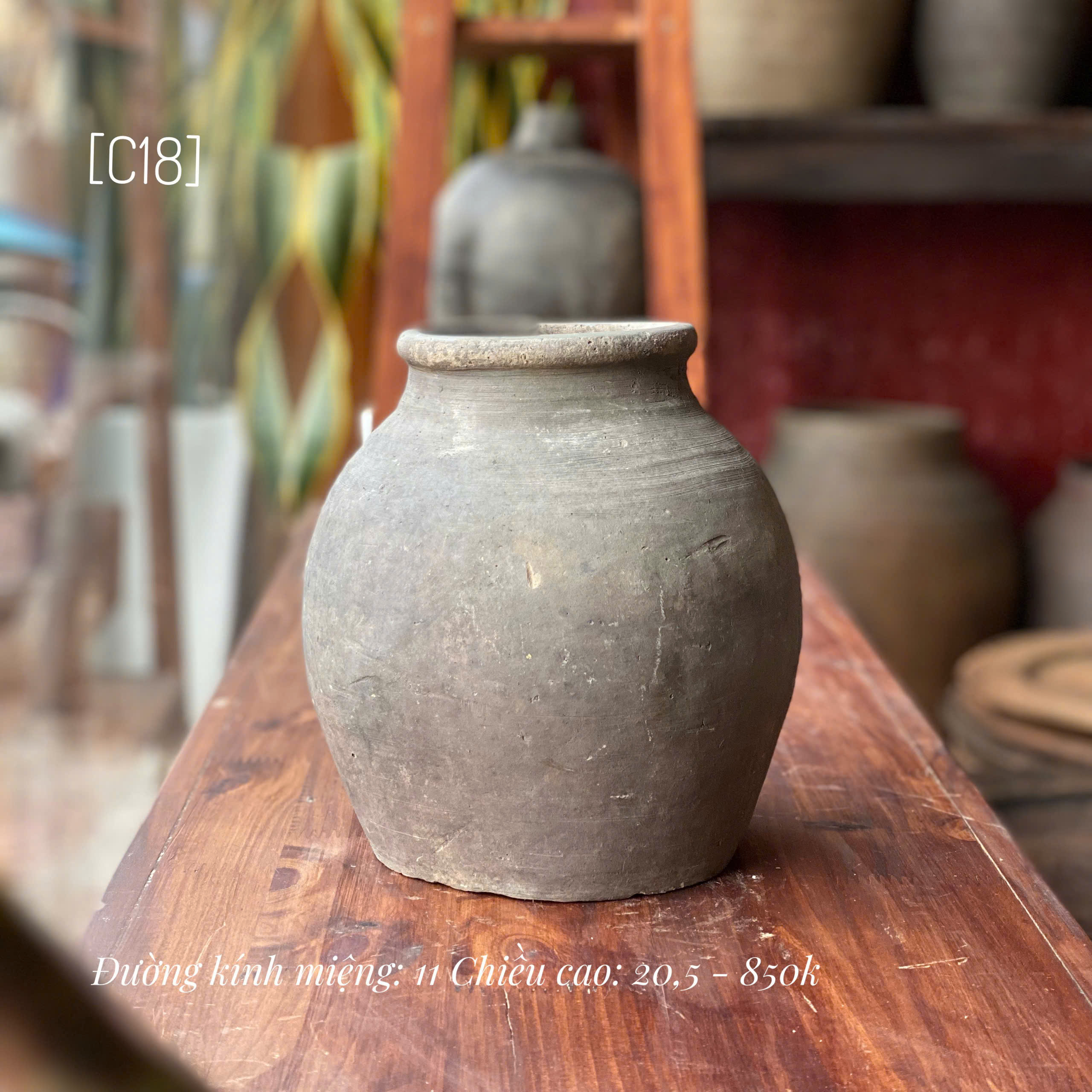 Bình Mường Chanh nhỏ - C18