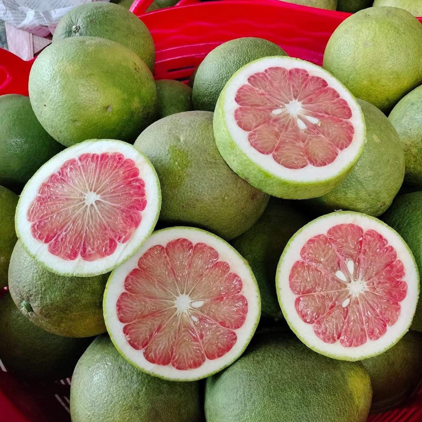 Bưởi Lão Da Xanh Ruột Đỏ_thumbnail_0