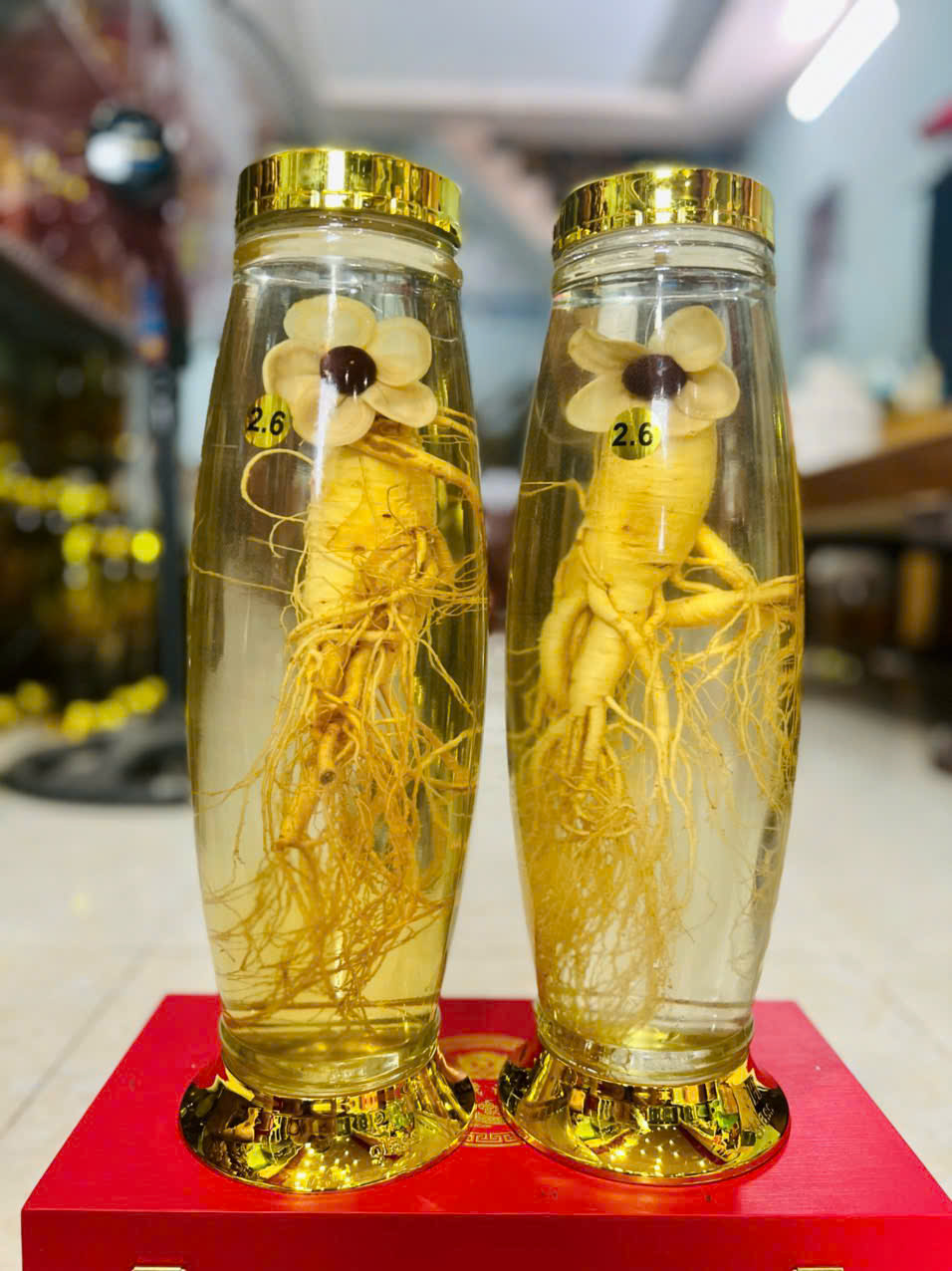 SÂM TRƯỜNG BẠCH TỈA HOA 2.6L (LIÊN HỆ BÁO GIÁ)