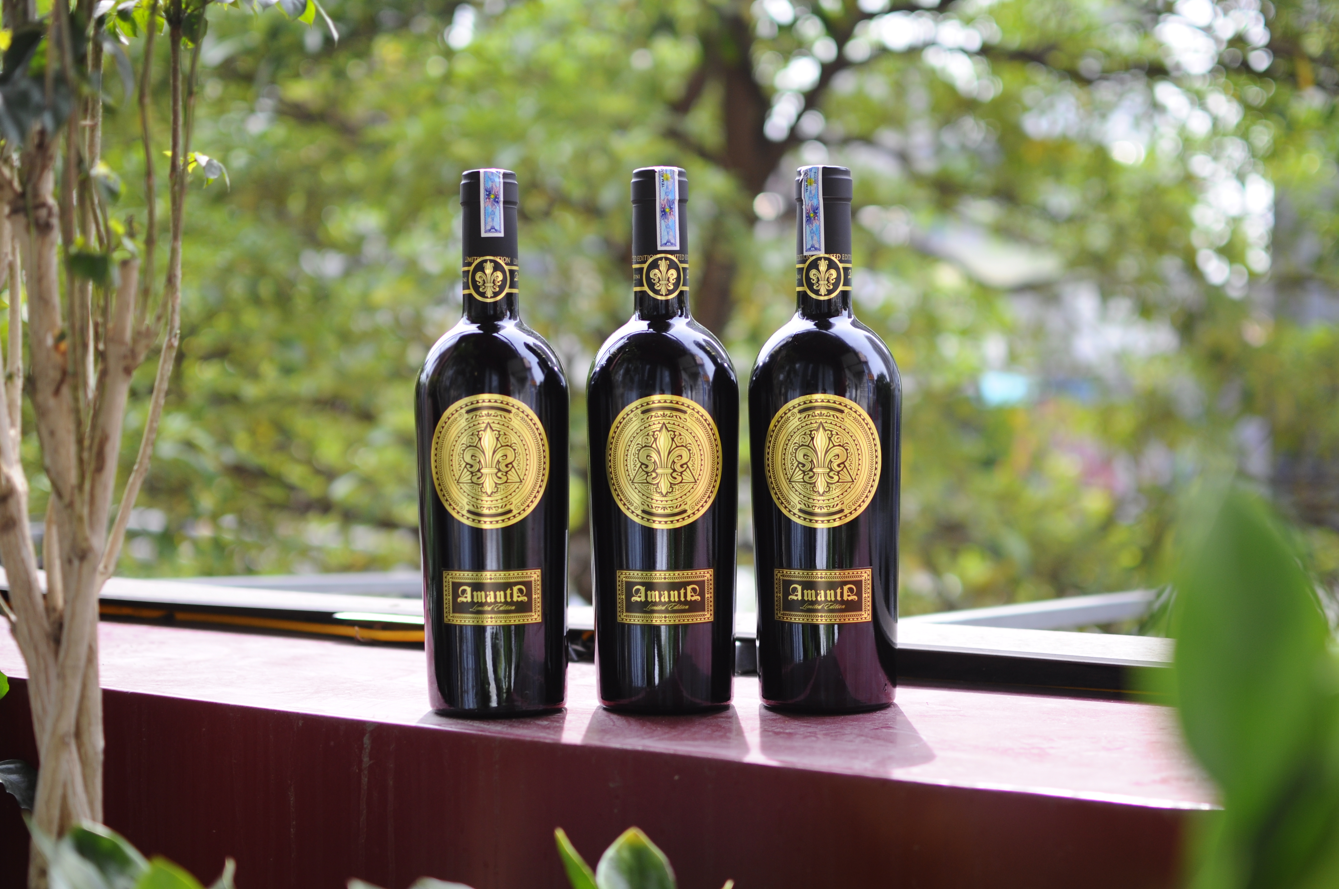 Amanta Limited Edition_thumbnail_7