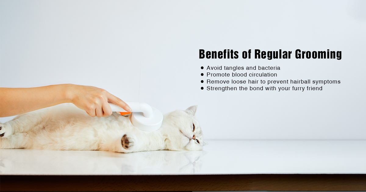 Petkit Grooming Brush 2