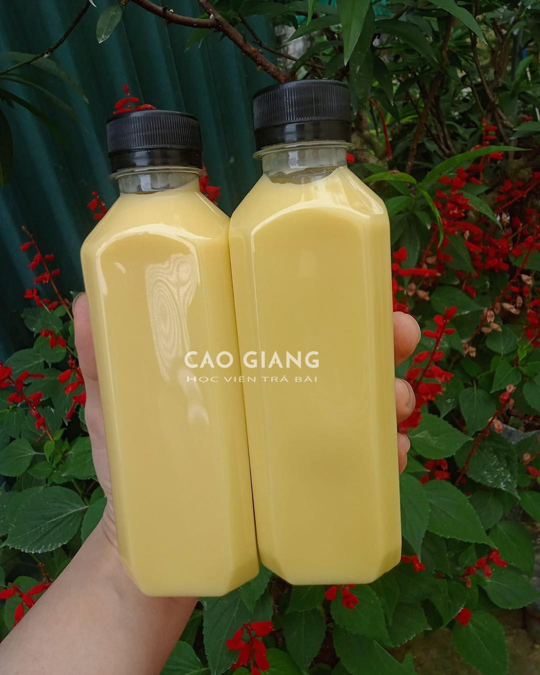 Lớp Sữa Ngô Nóng_thumbnail_7