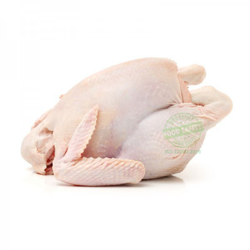 Tough Chicken (Medium Size)