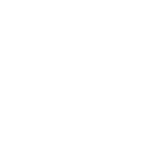 icon_website_VELA-109