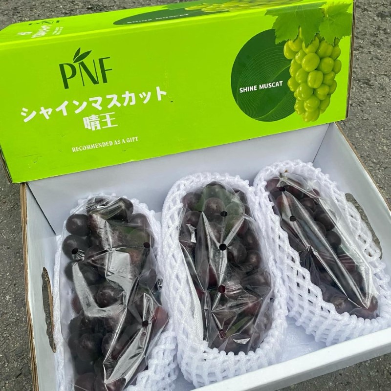 Nho Mẫu Đơn Đen (PNF)_thumbnail_1