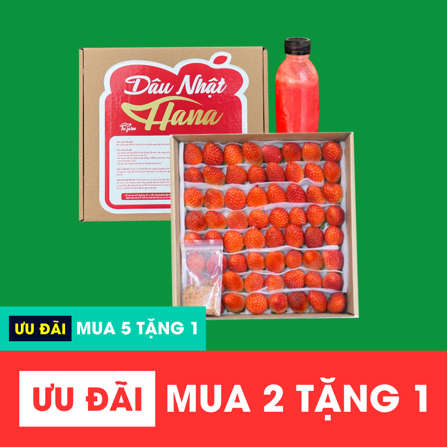 Dâu Nhật Hana_thumbnail_7