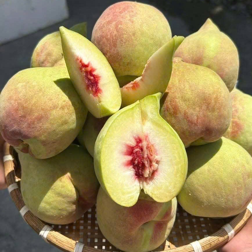 Đào Mỏ Quạ_thumbnail_3