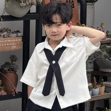 Bộ Quần Áo Xược Hàn Đùi Cho Bé Trai_thumbnail_13