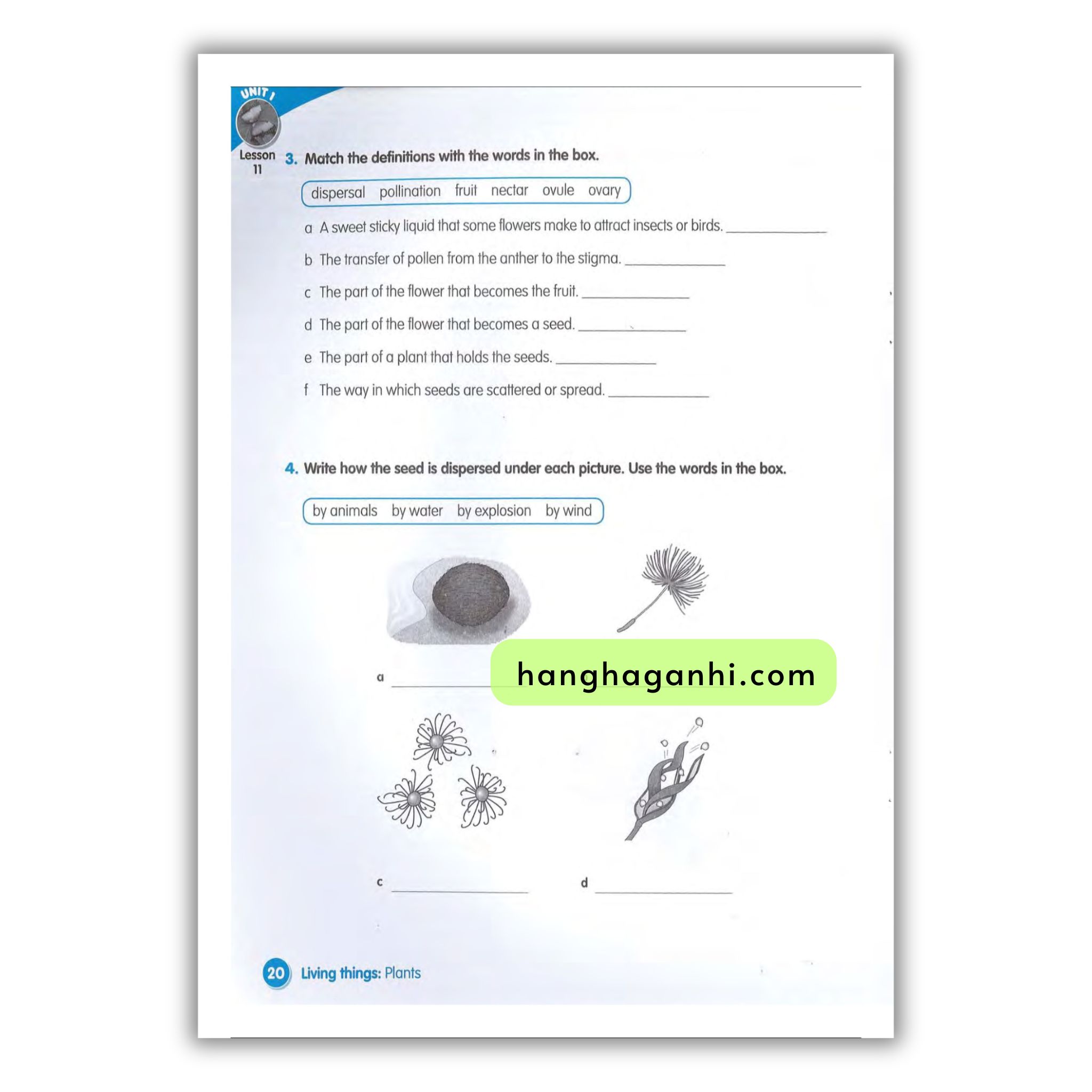Macmillan Science 4 Workbook_thumbnail_8