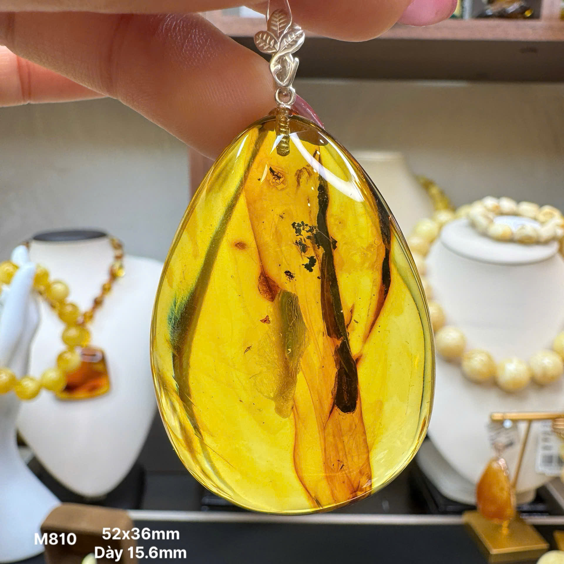 Mặt Vòng Côn Trùng 3 Nhện - M810