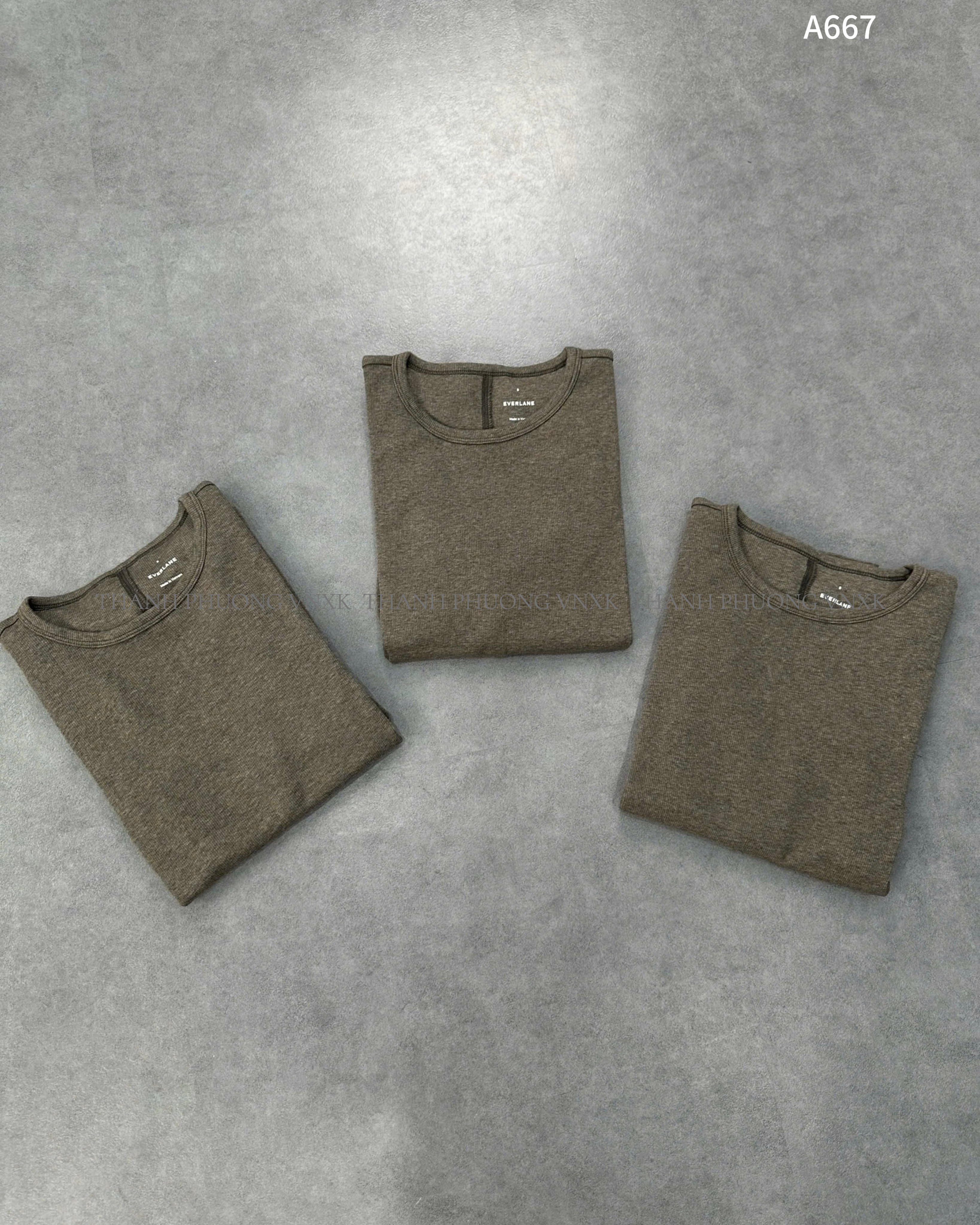 AO NU EVER A667 (L3-2)_thumbnail_5