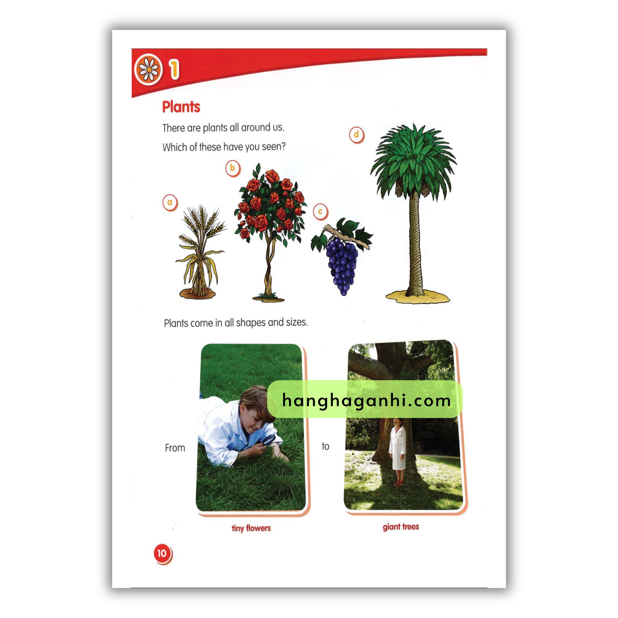 Macmillan Science 2 Pupil’s Book_thumbnail_10