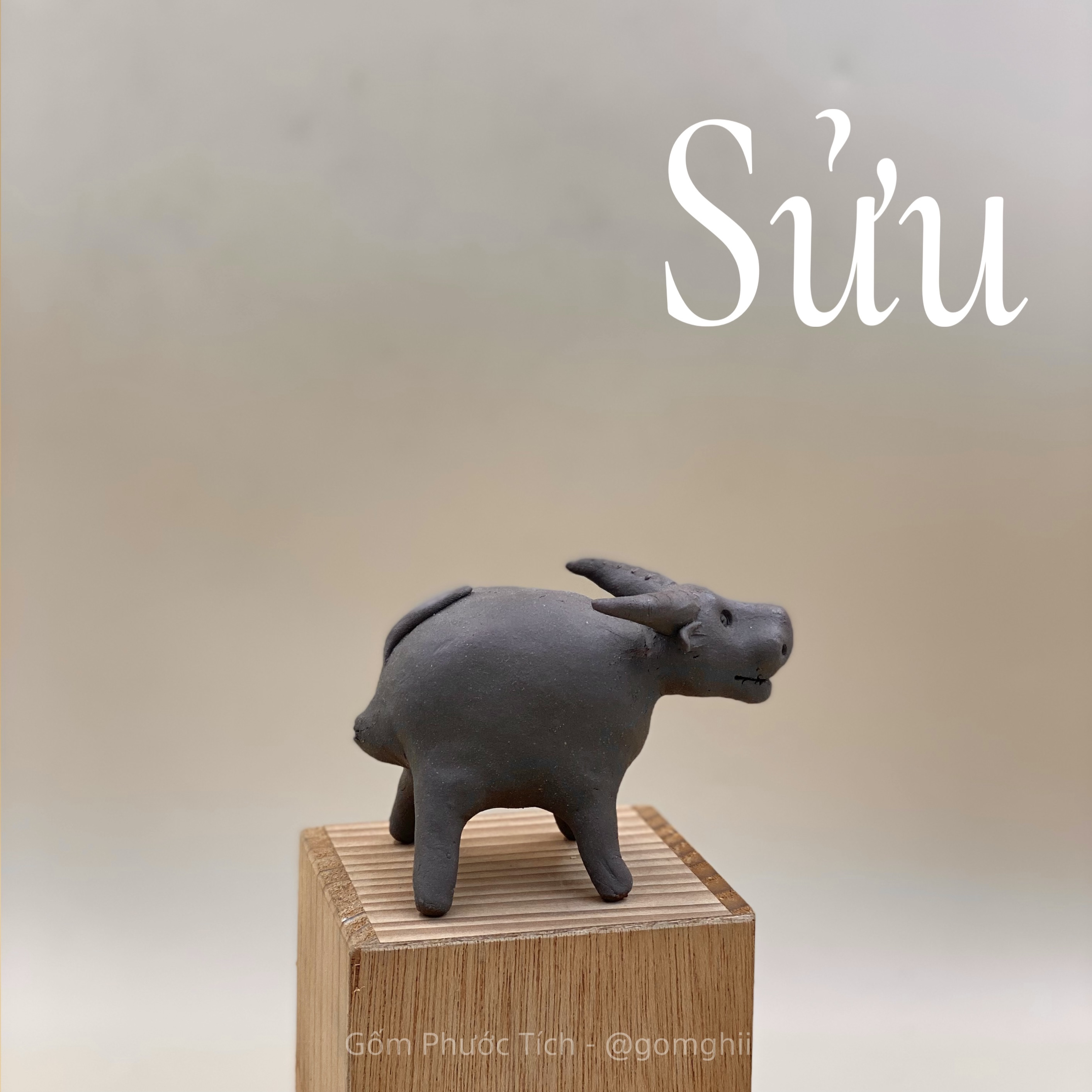 Tu Huýt Phước Tích - Sửu_thumbnail_1