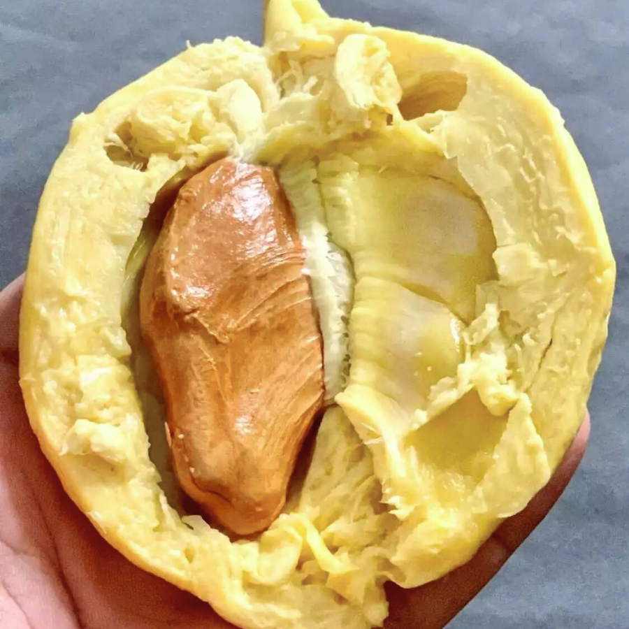 Tách Sẵn - Sầu Riêng Thái Campuchia_thumbnail_2