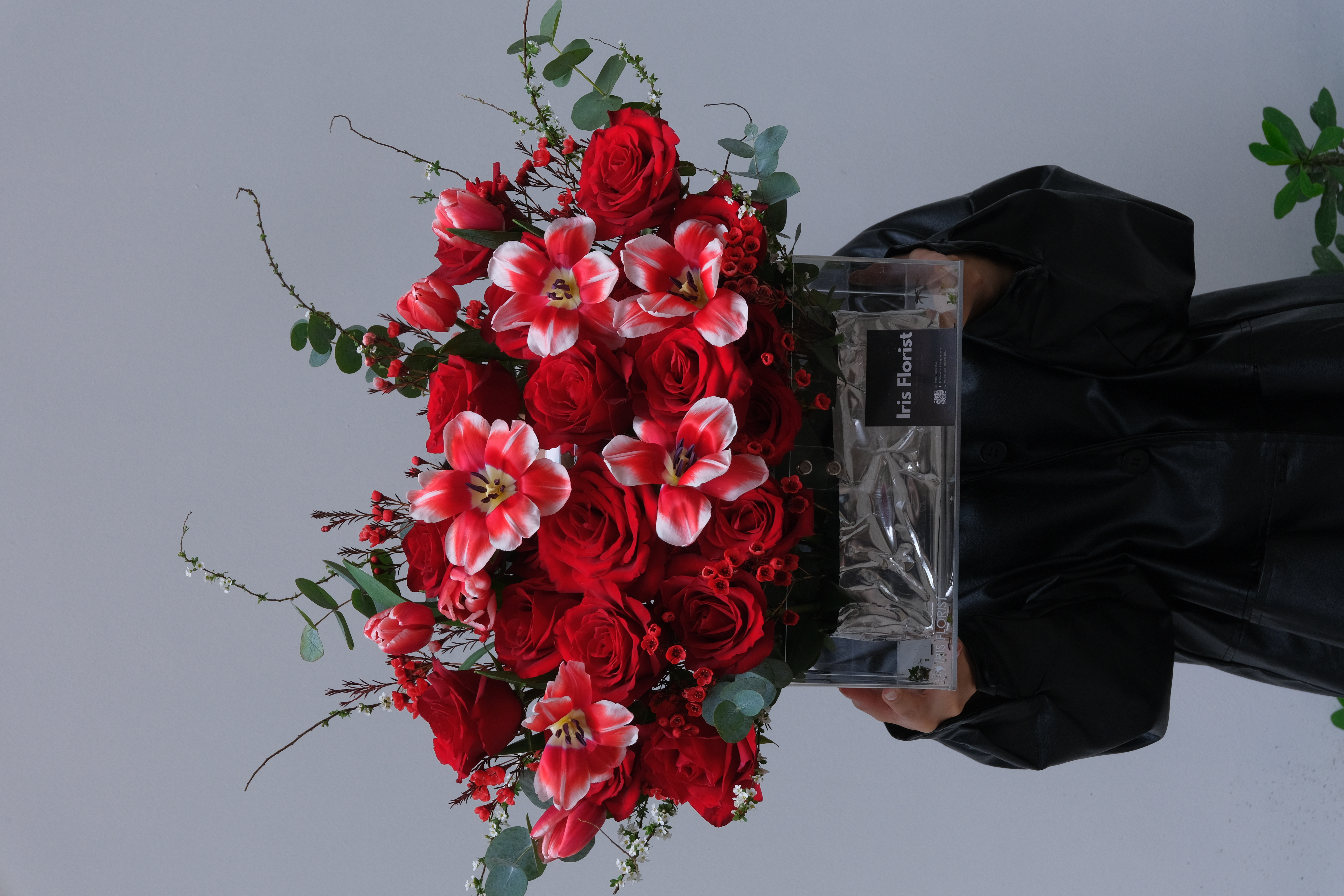 Giỏ Mica hồng đỏ mix tulip viền trắng