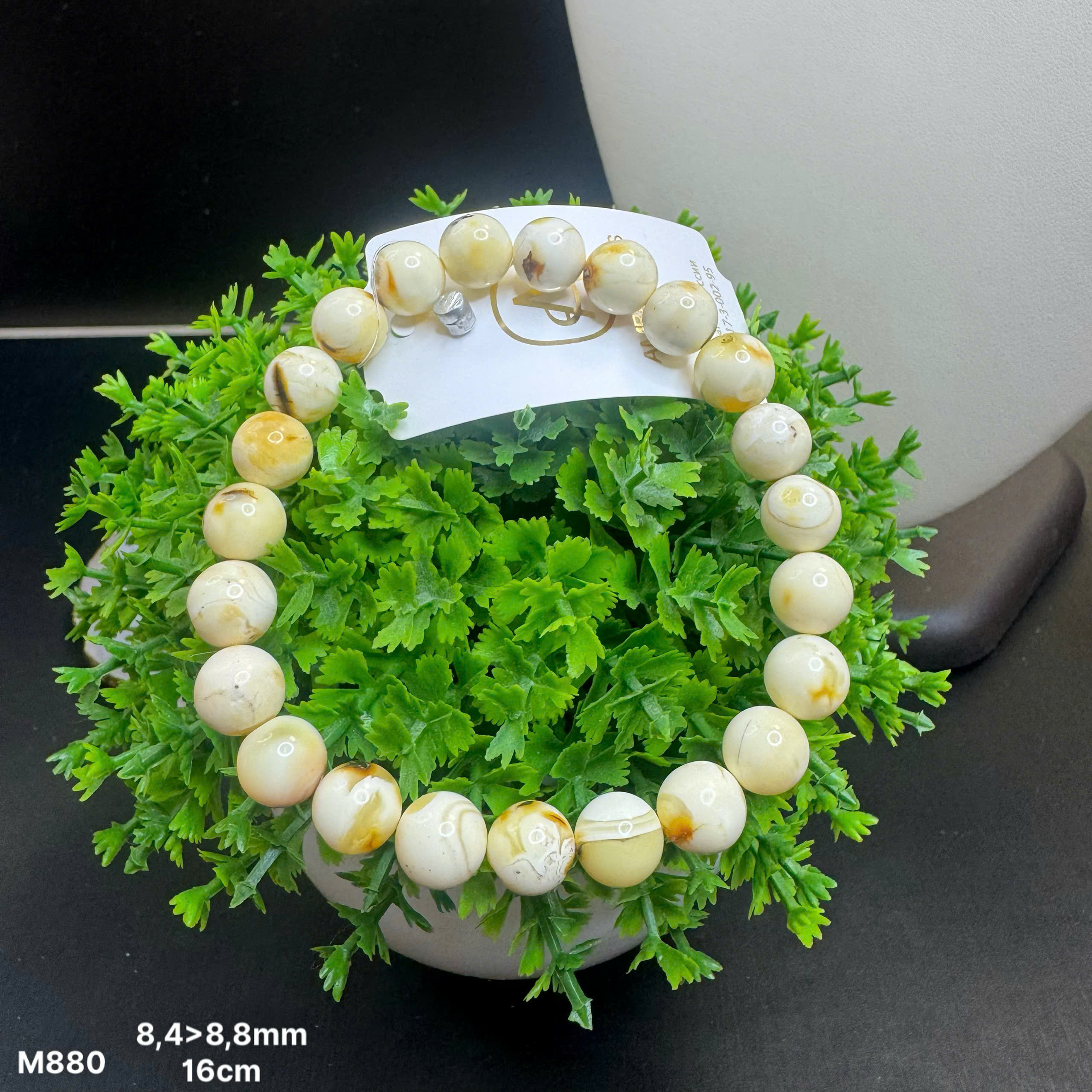 Lắc Tay Bạch Phách - M880