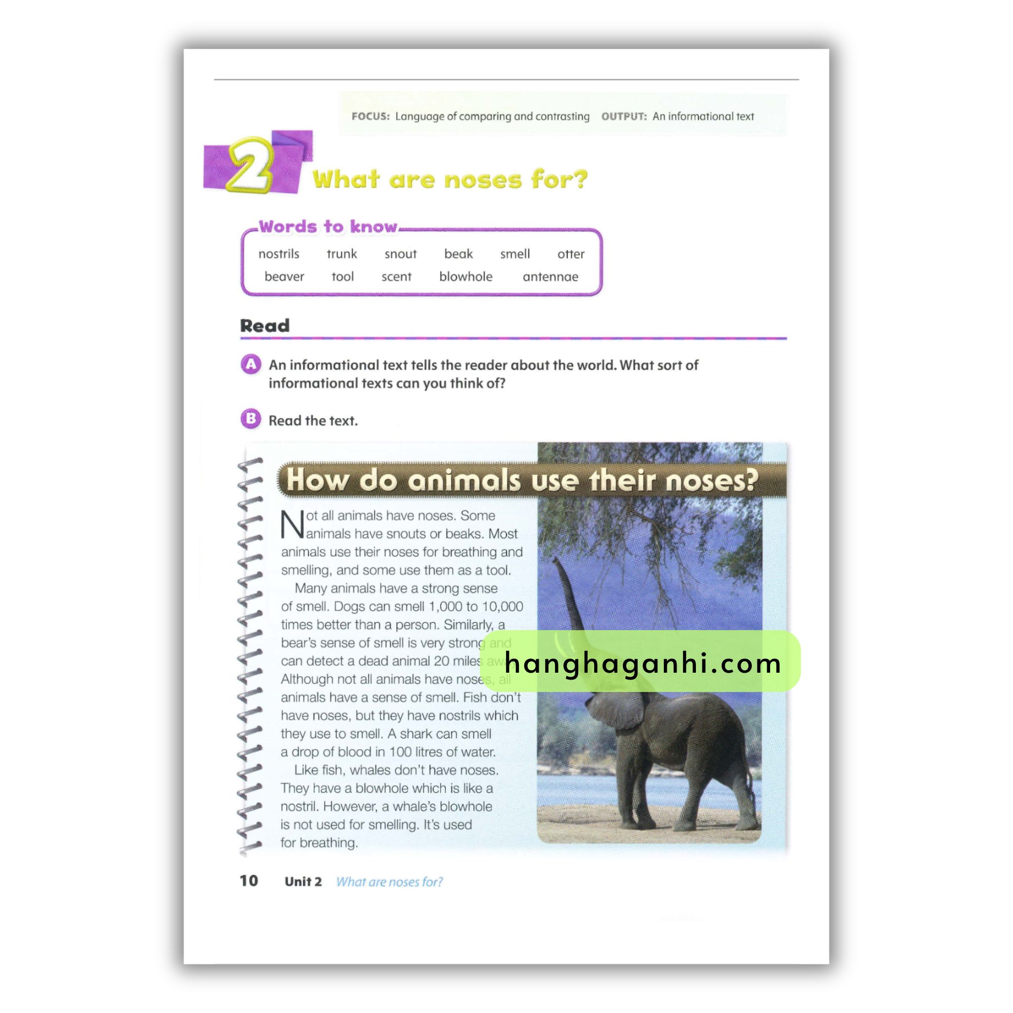 Oxford Discover Level 5 Writing And Spelling_thumbnail_14