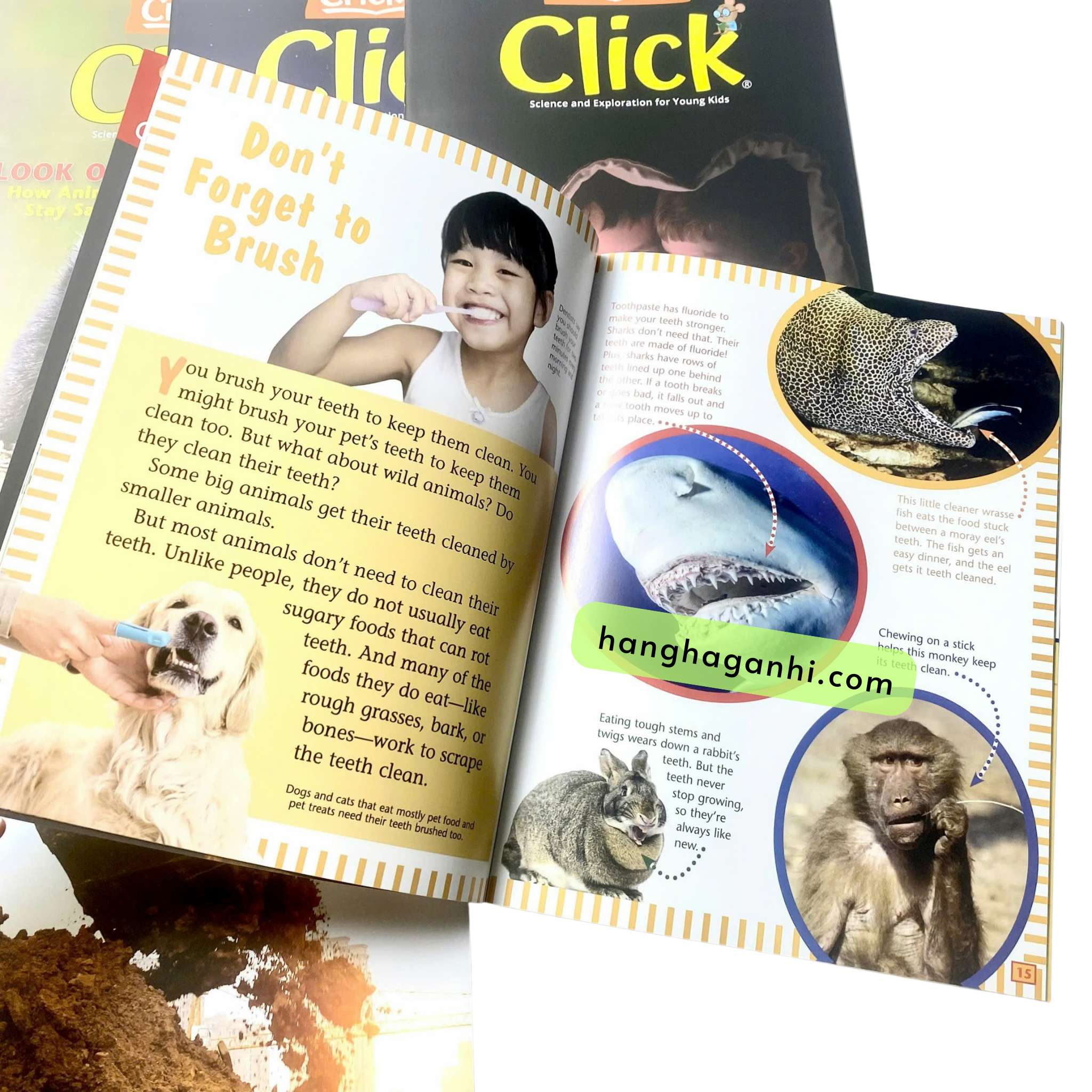 Bộ 9 cuốn tạp chí khoa học Click Tiếng Anh sách nhập khẩu, kèm file nghe_thumbnail_5