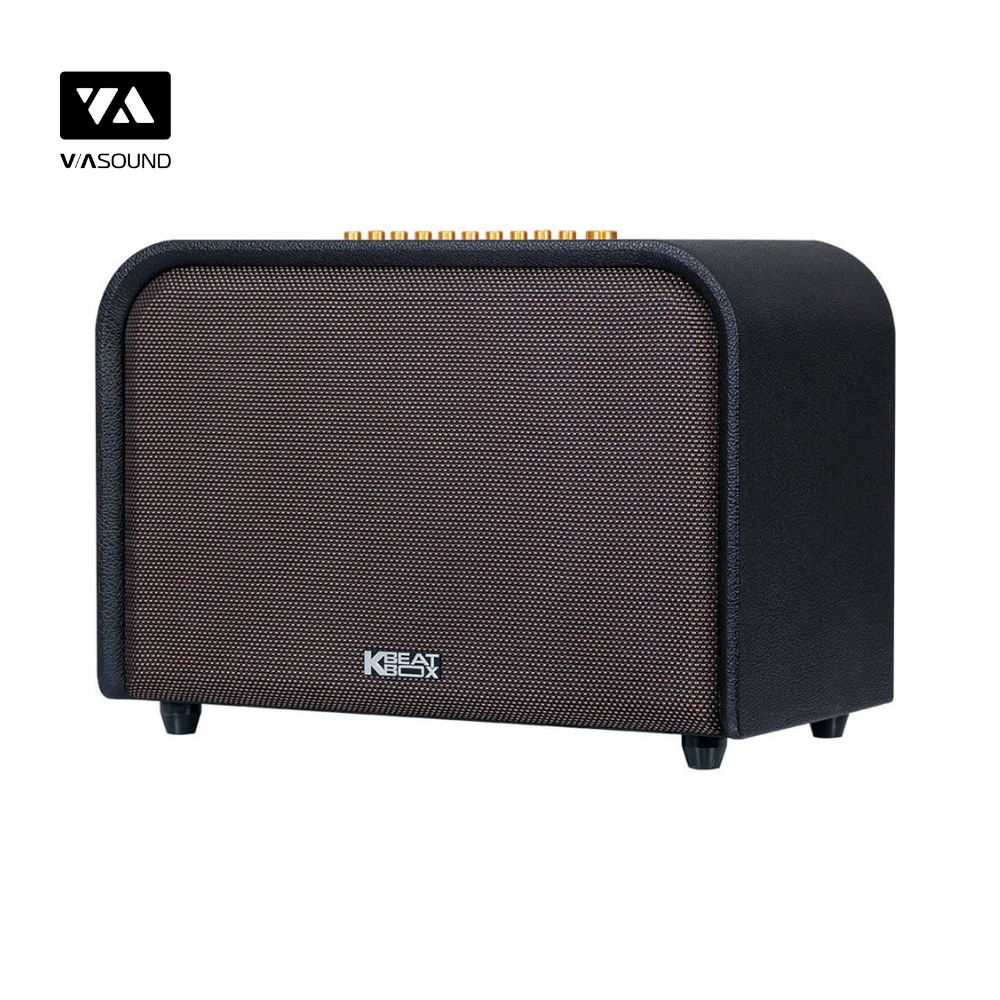 Loa Kéo ACNOS ACOUSTIC 3