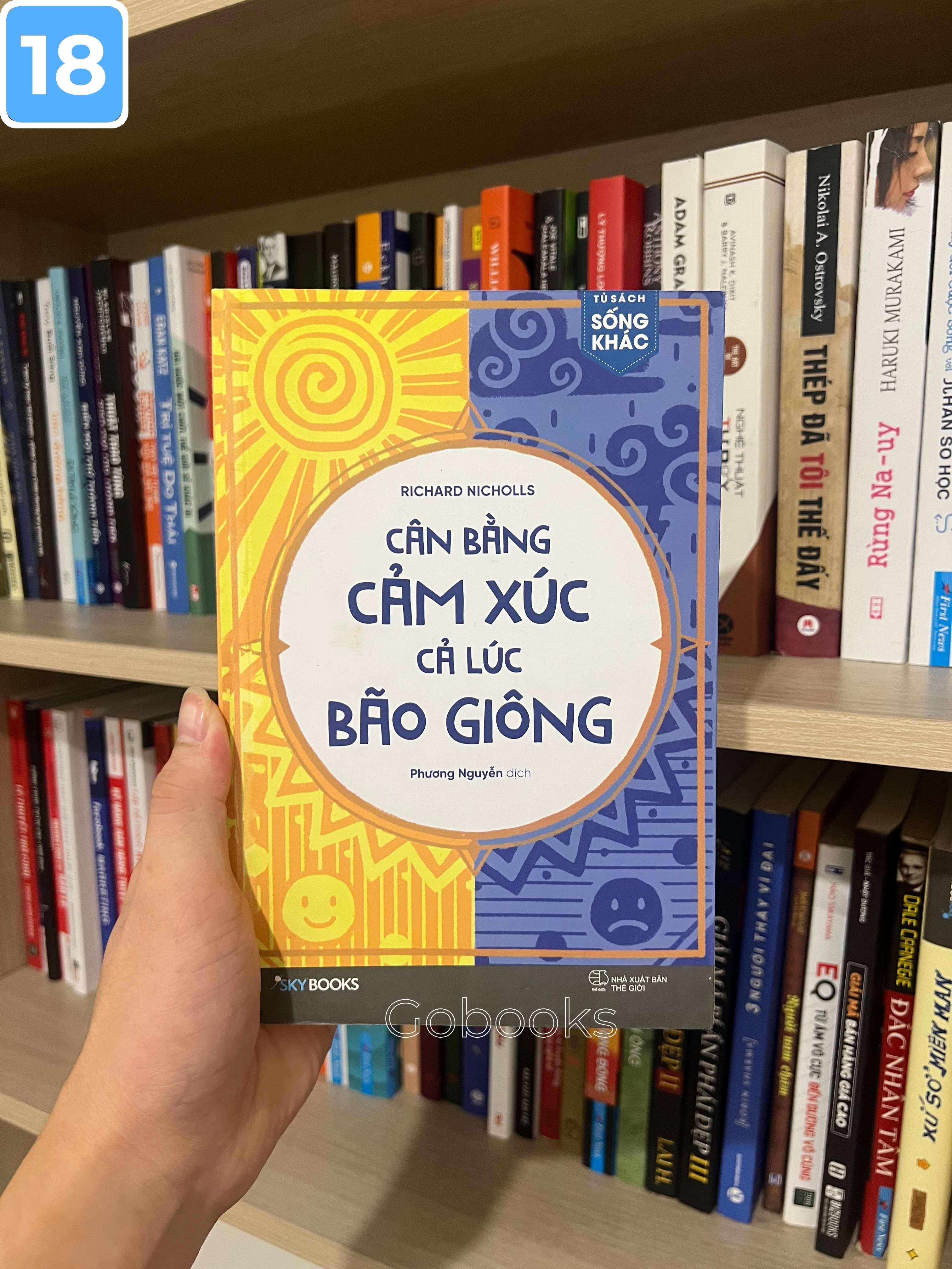 Cân Bằng Cảm Xúc Cả Lúc Bão Giông_thumbnail_1