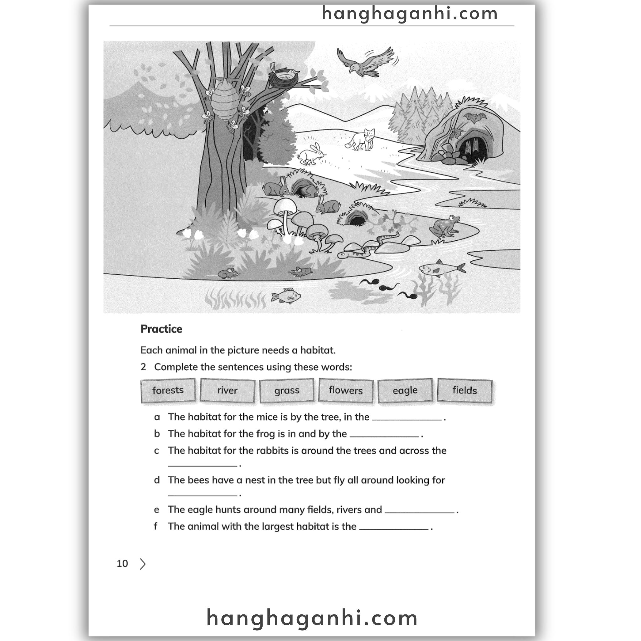 Cambridge Level 2 Primary Science Workbook 2nd edition 2021_thumbnail_10