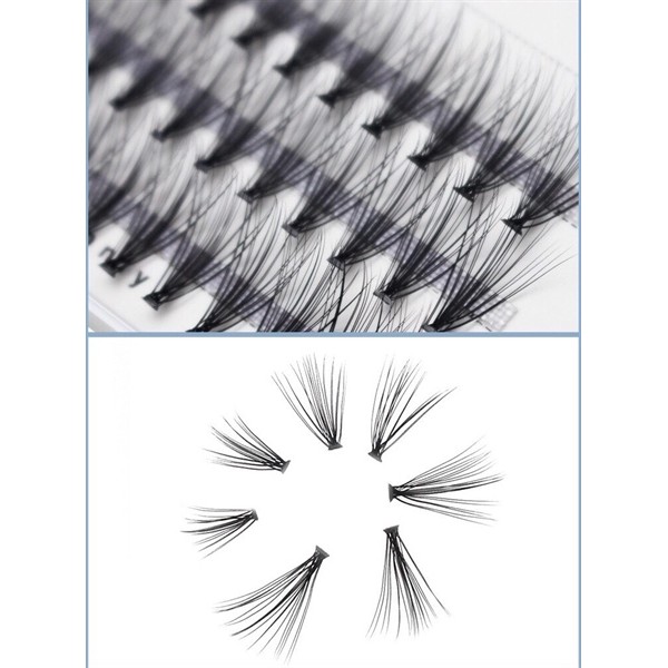 Mi chùm hồng_thumbnail_1