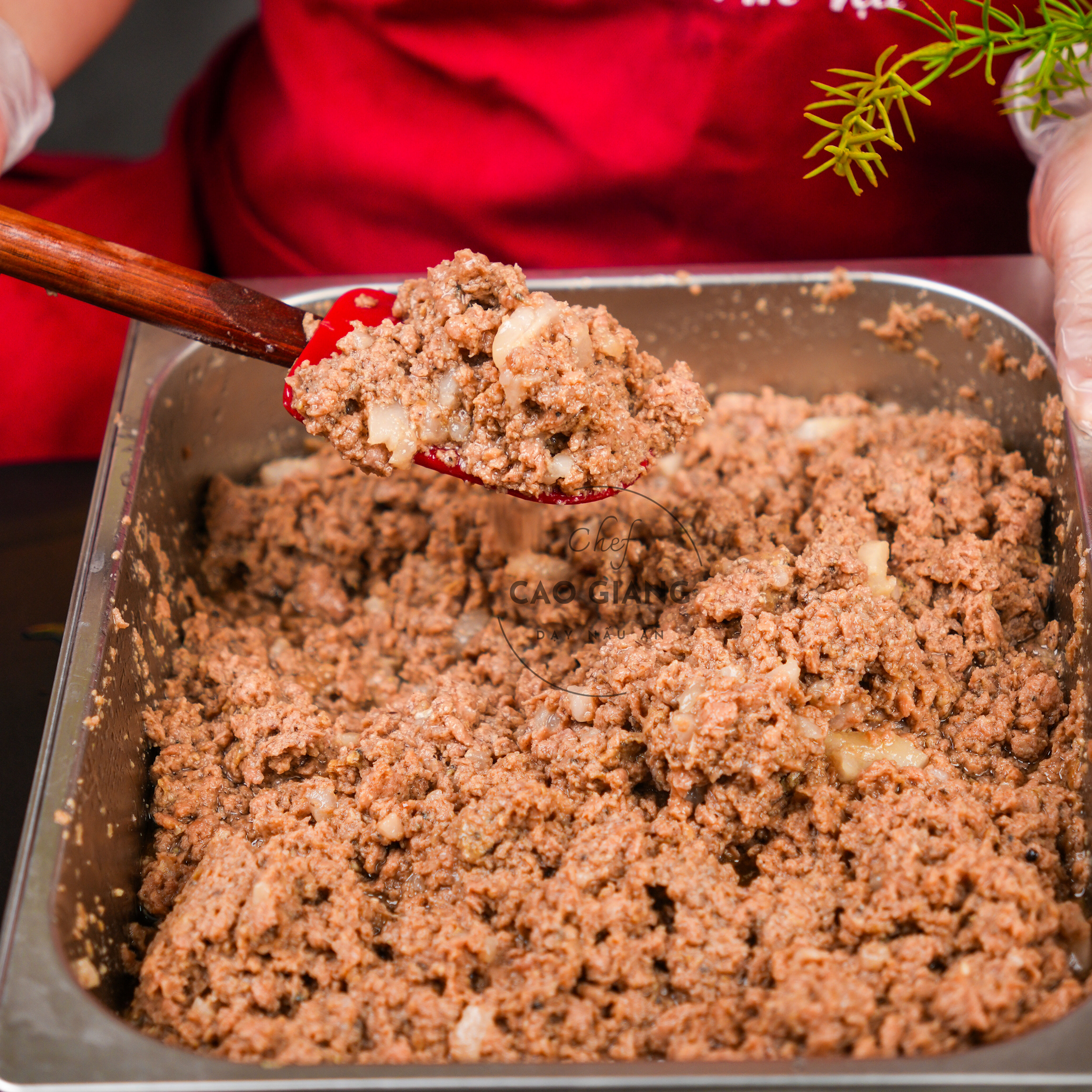 Lớp Pate Hải Phòng